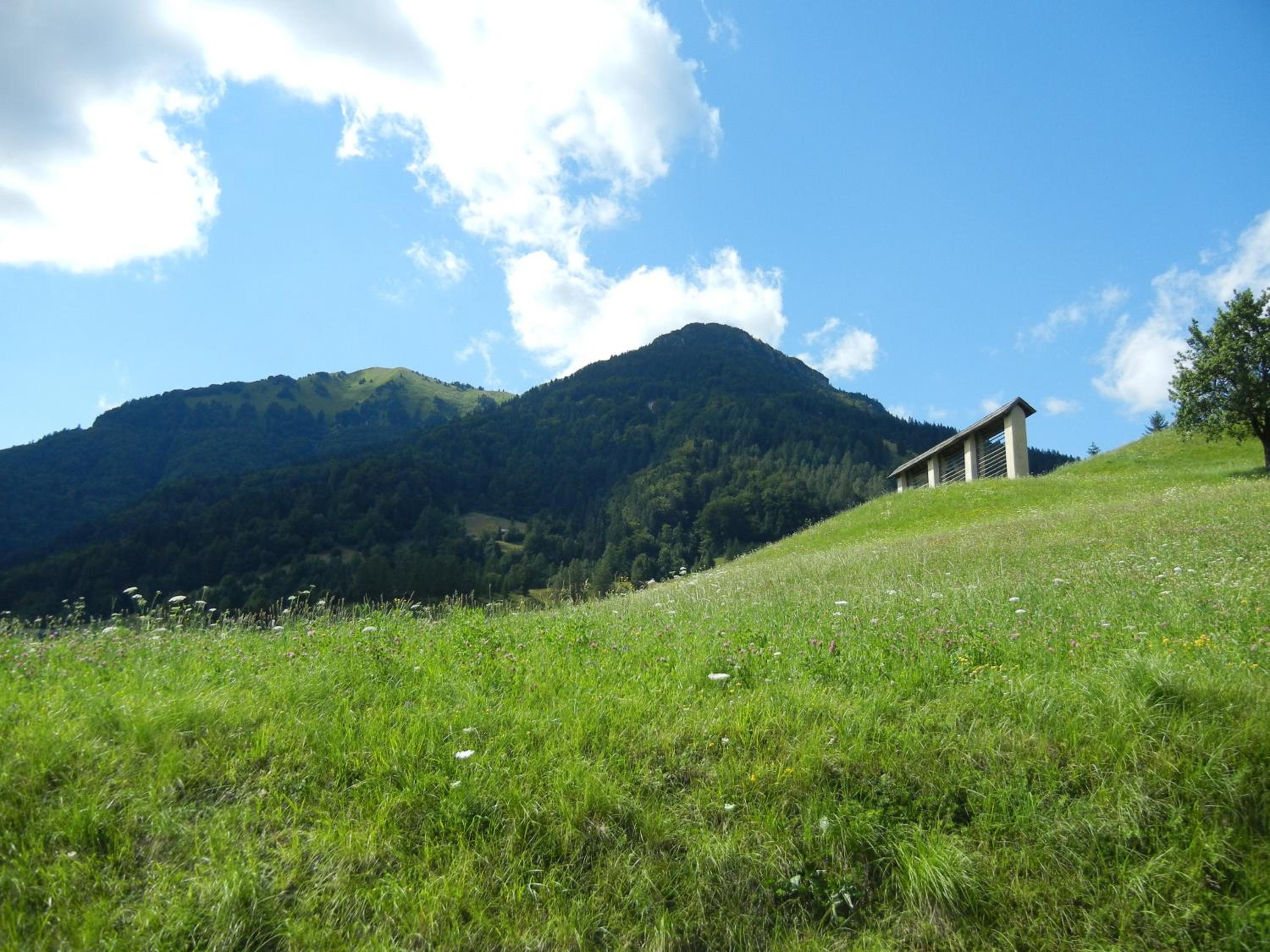 Photo 47