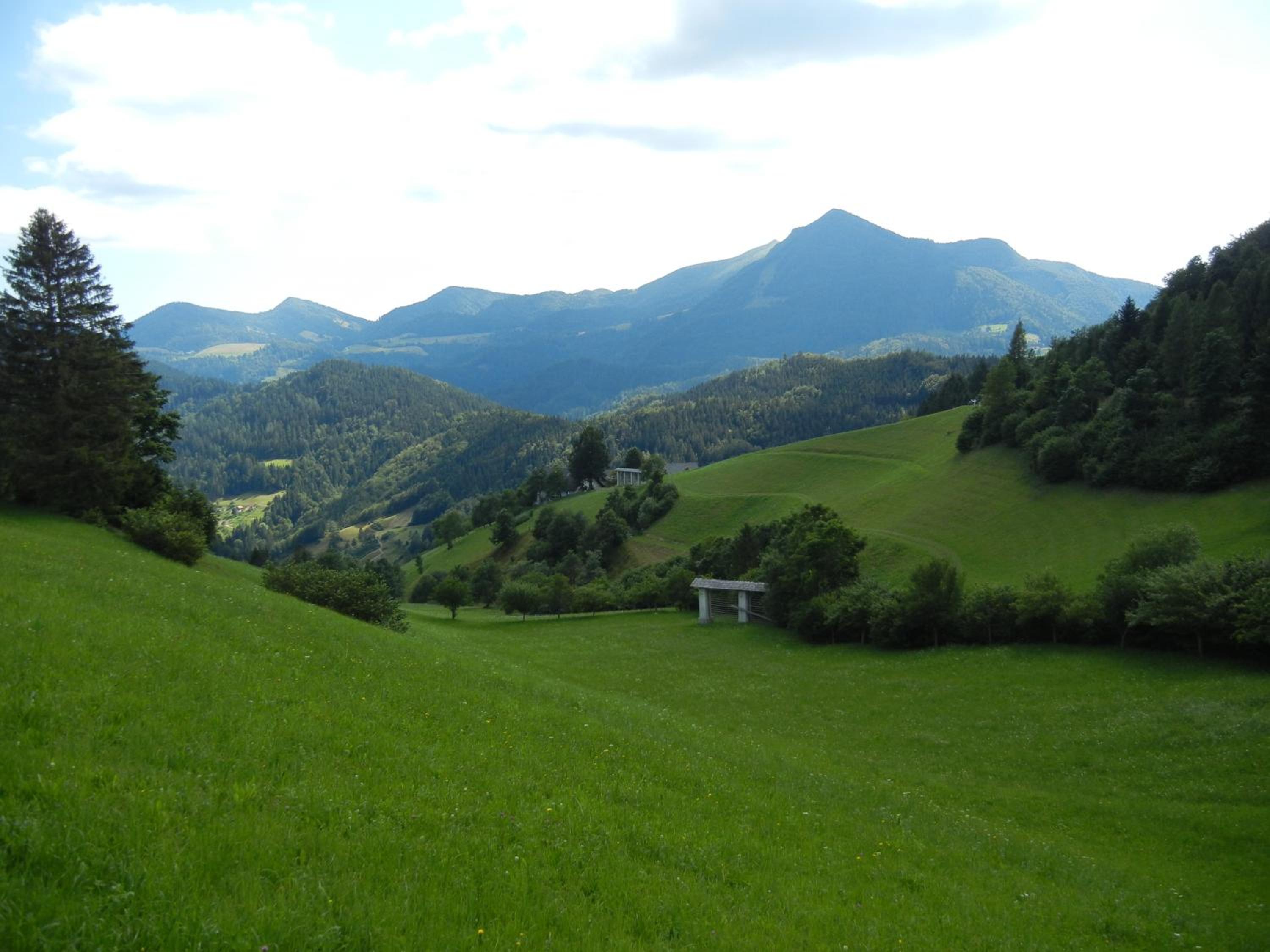 Photo 43