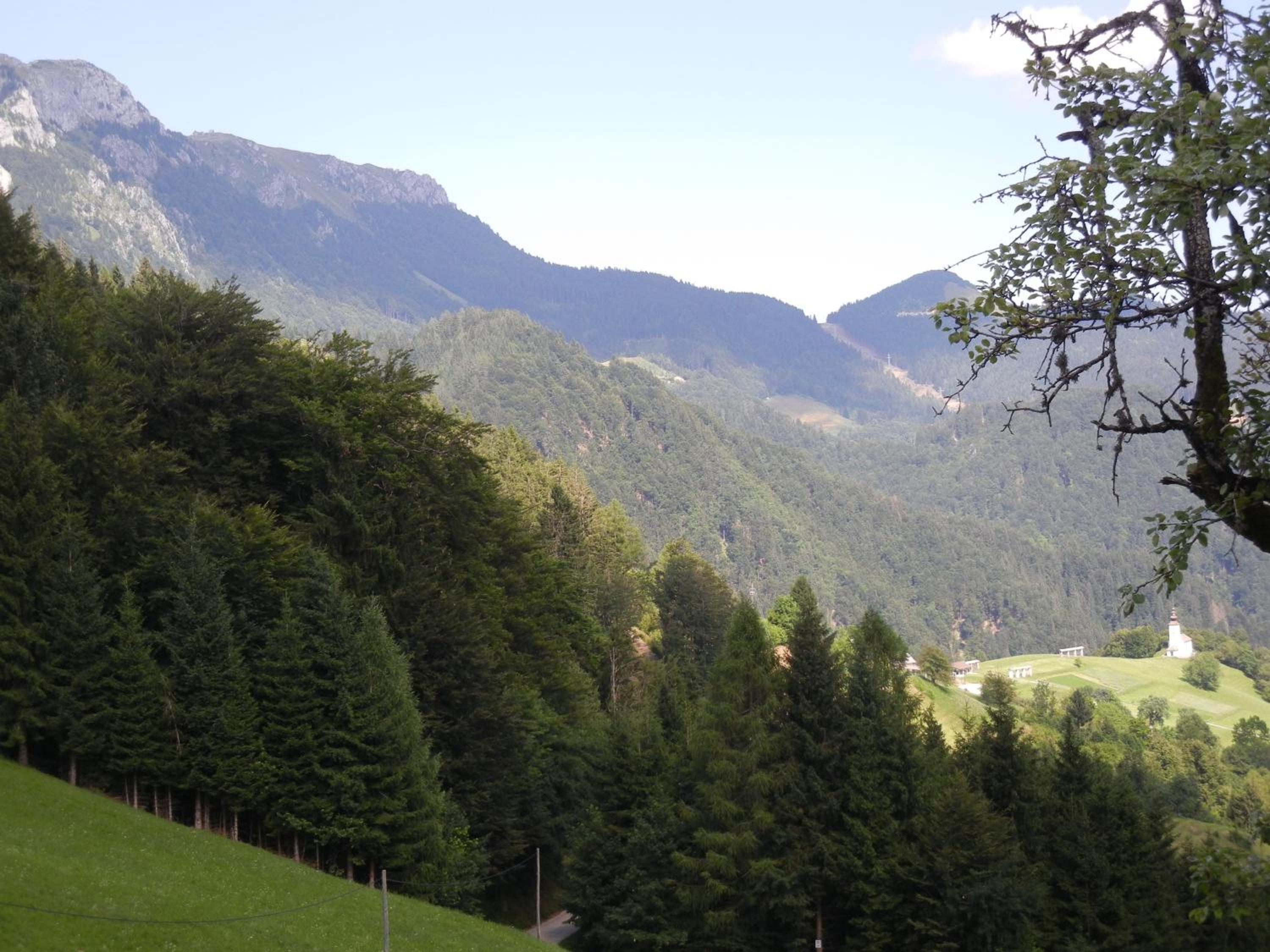 Photo 50