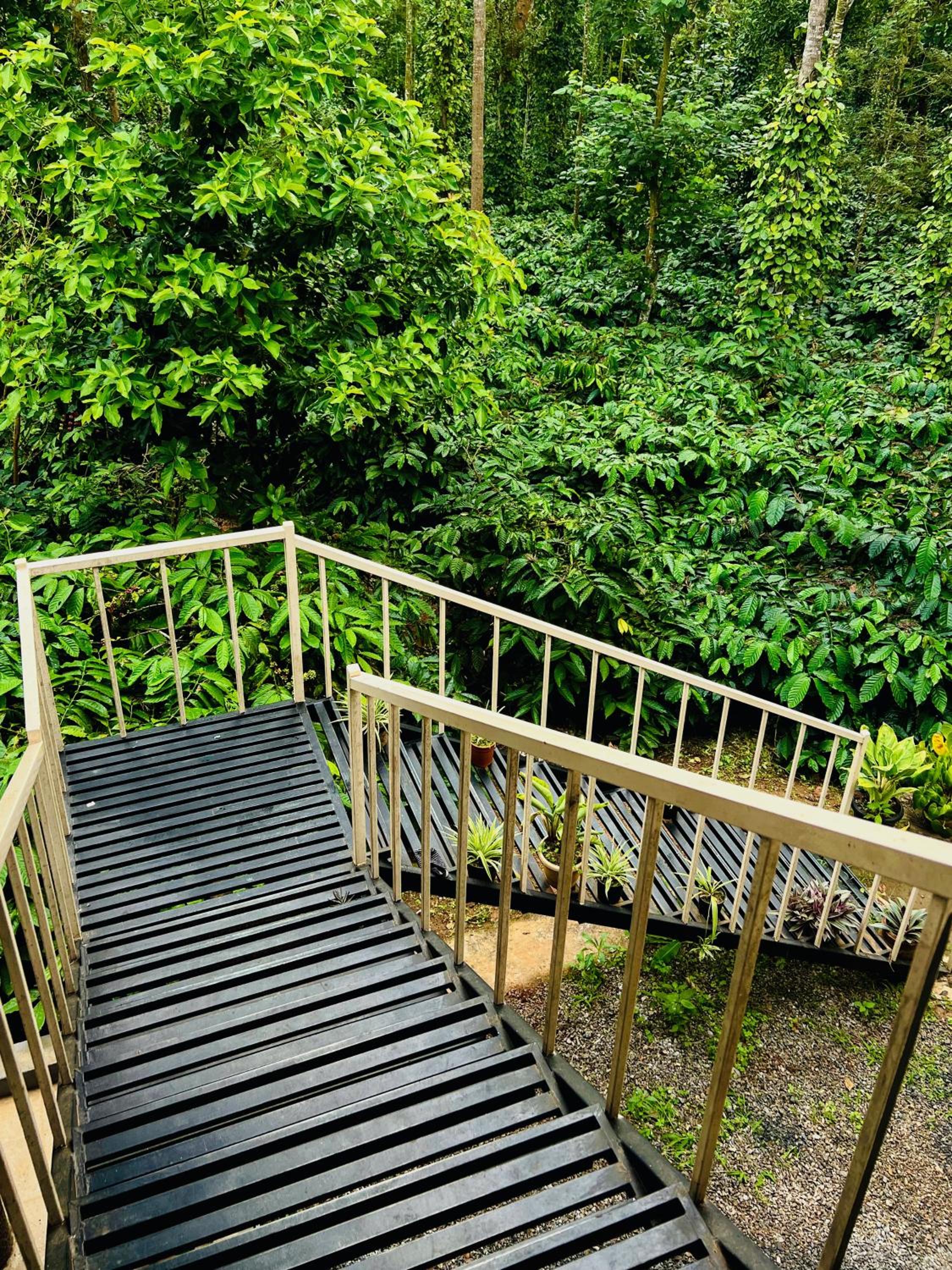 The Last Try - Secret Ashram Coorg view 3