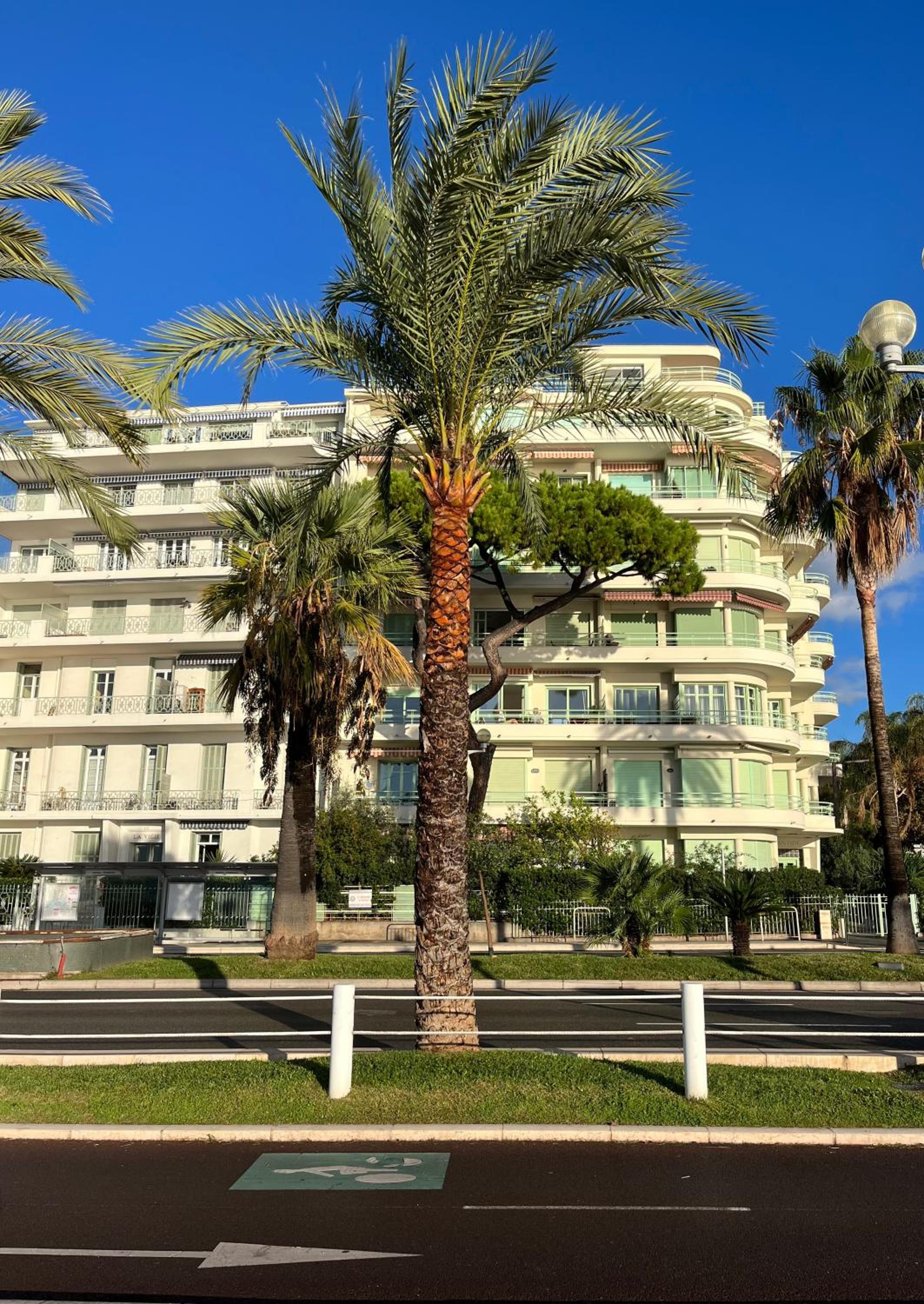 NICE 115 BY THE SEA photo 5