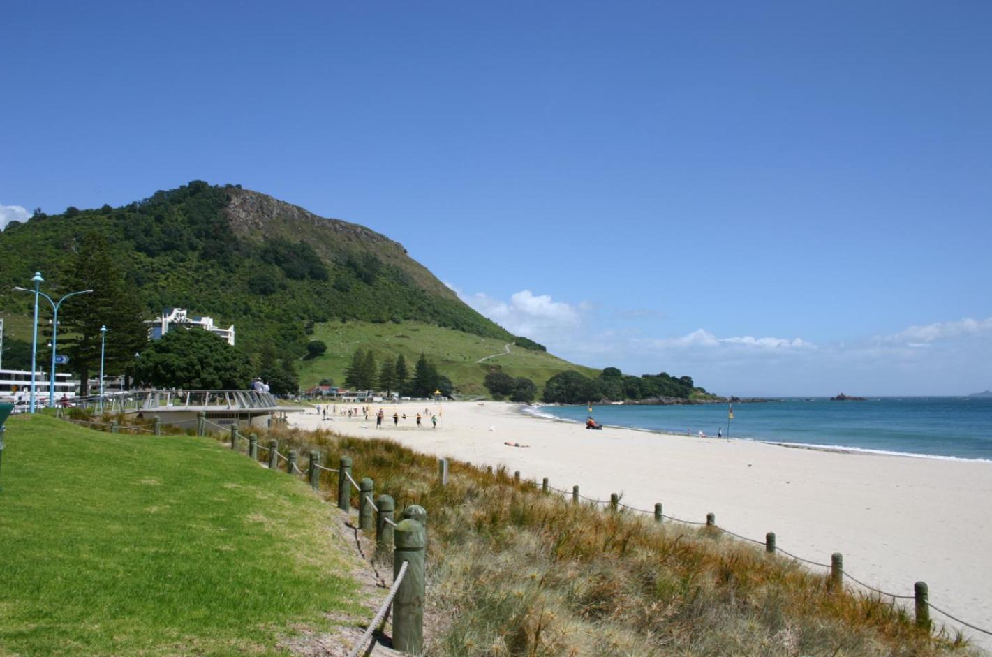 Kereru Cottage , rural B&B, Tauranga