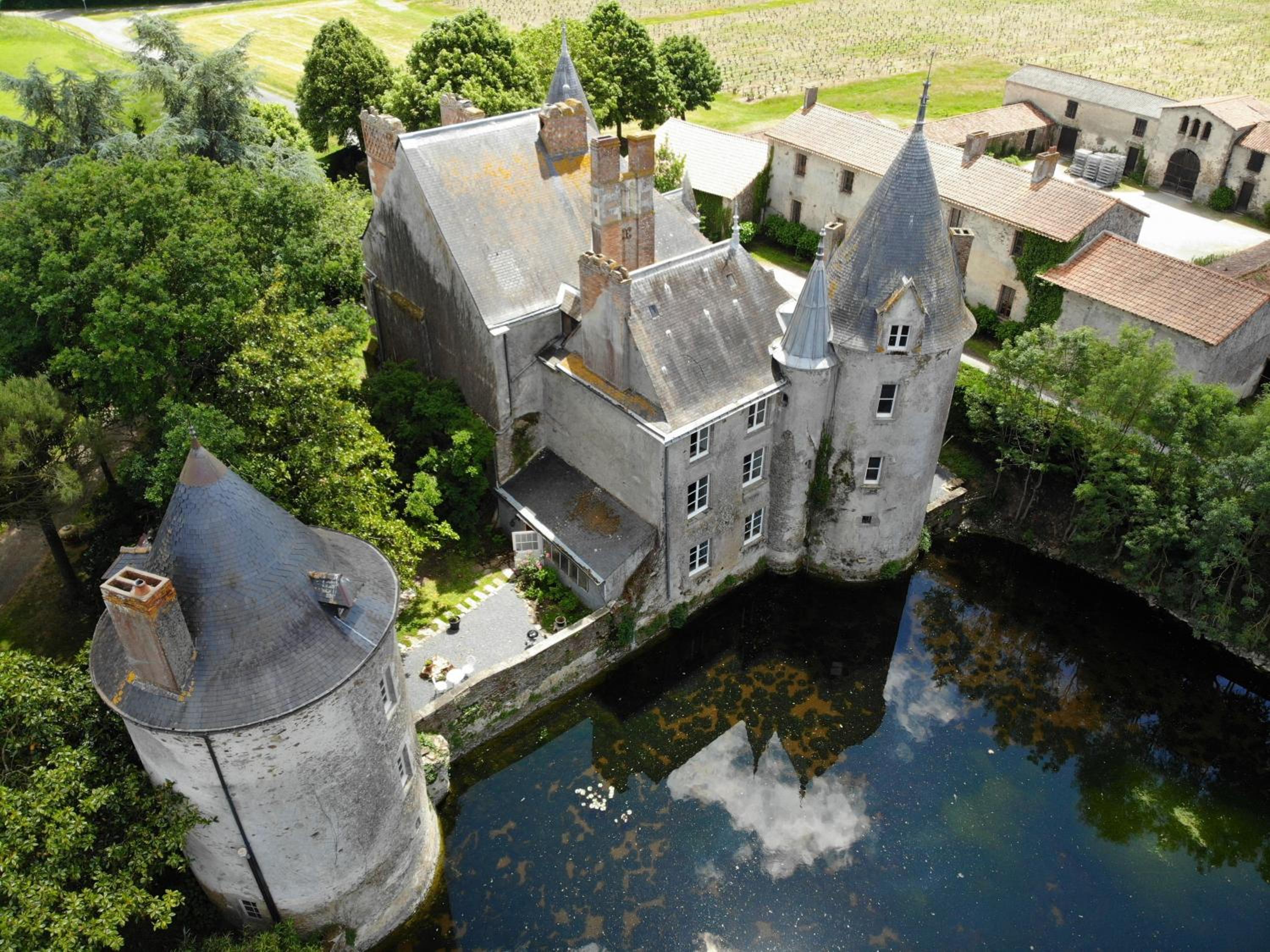 Château de la Preuille Bed & Breakfast view 4