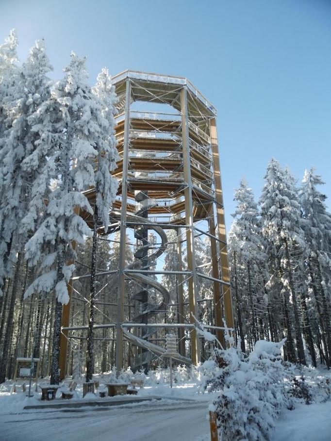 KORZO LIPNO C