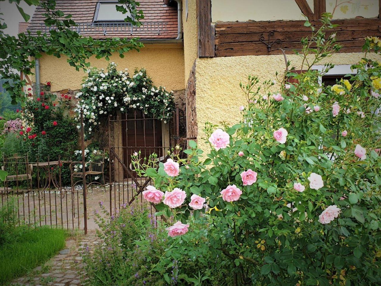 Fachwerkhof Klosterbuch