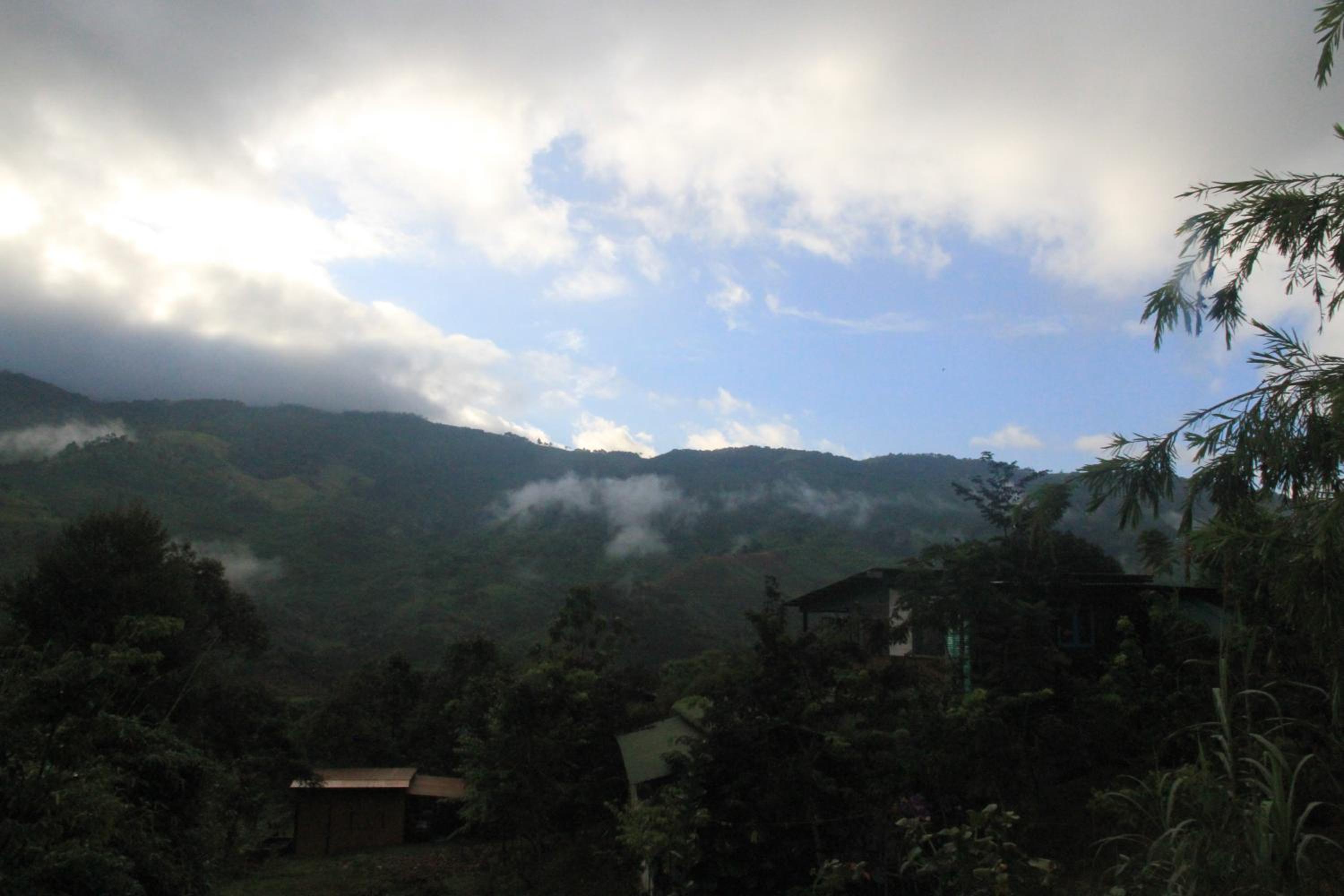 Photo 39