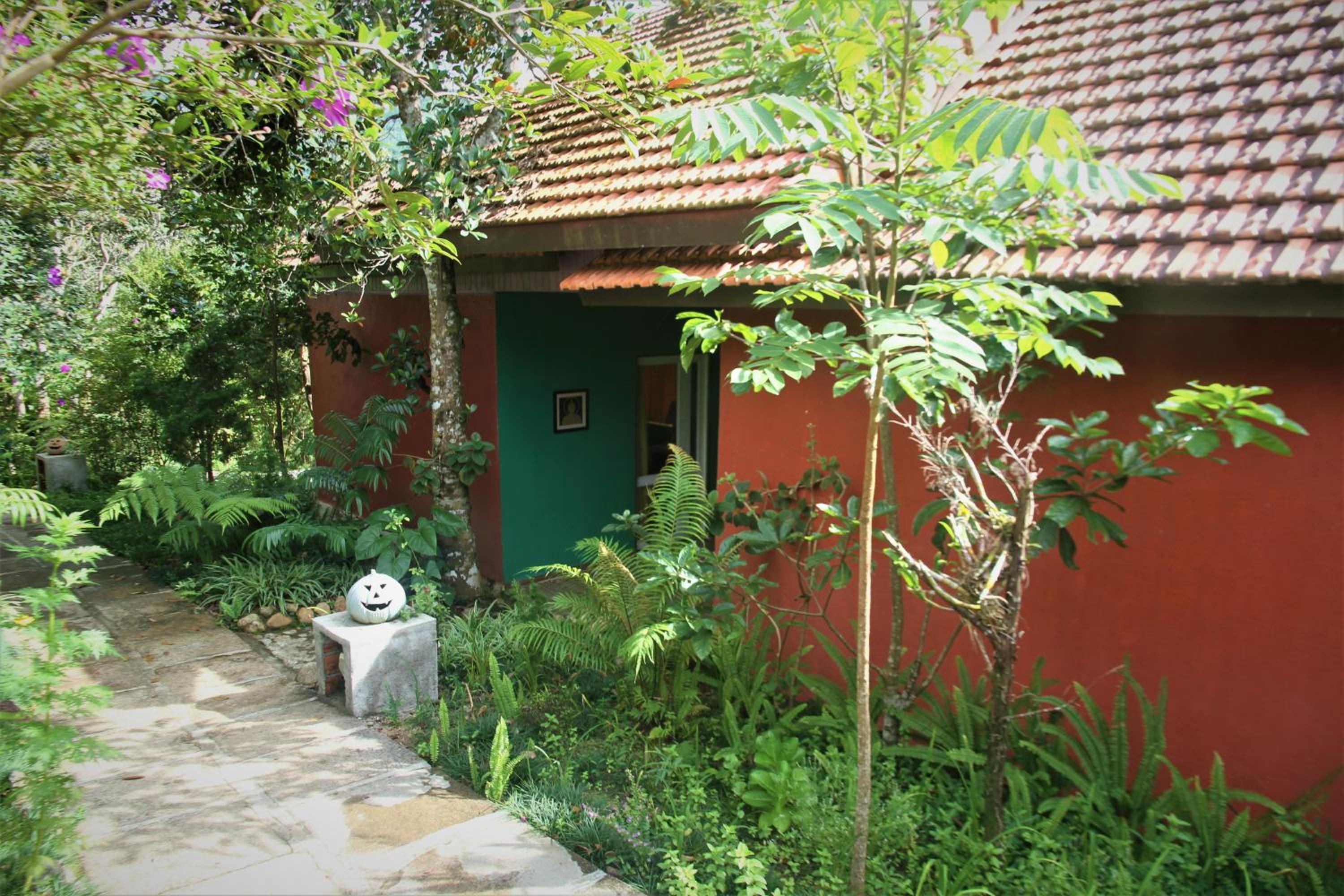 Photo 43