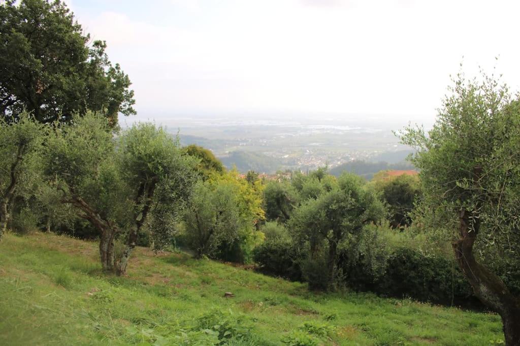 Photo 45
