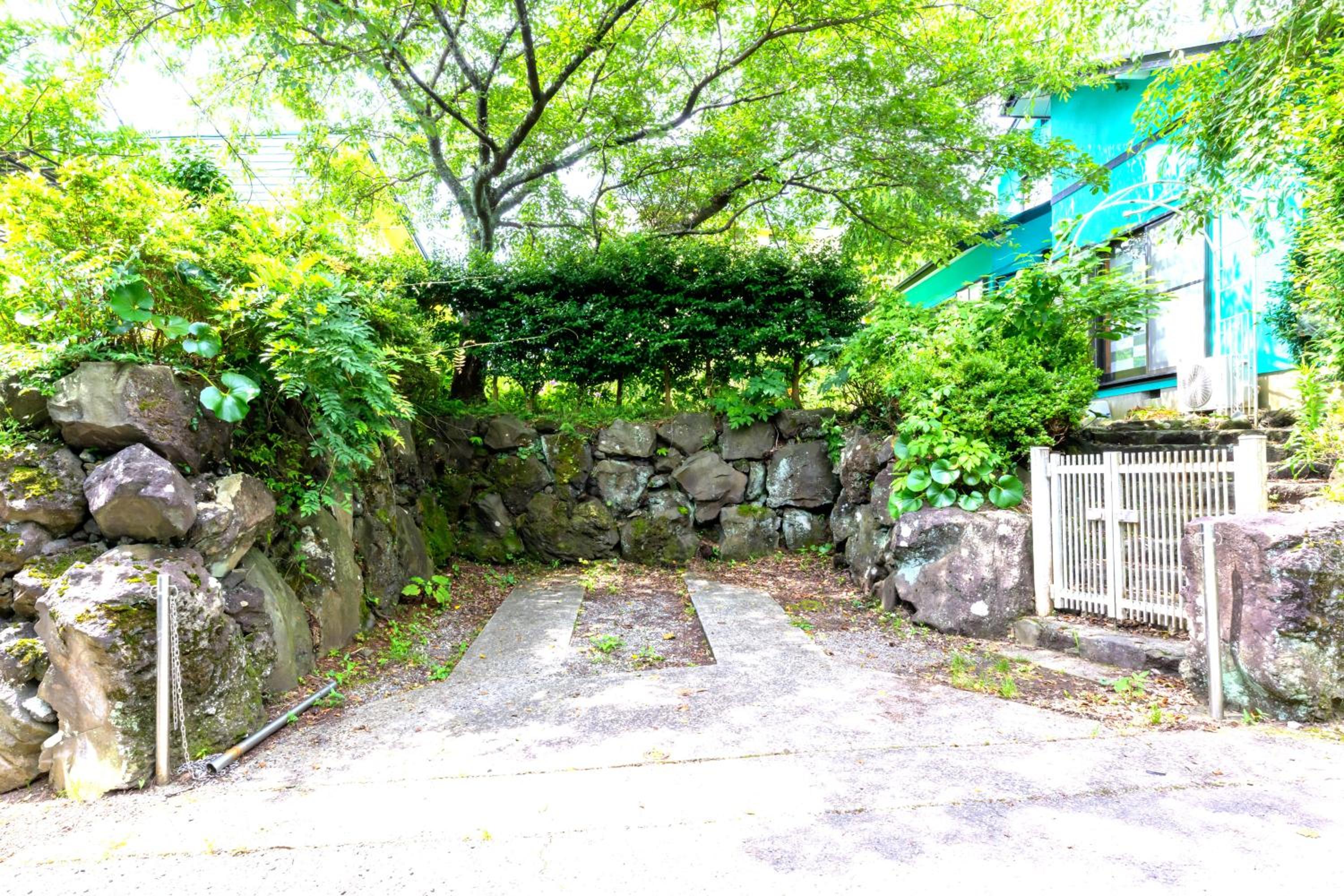 Photo 8