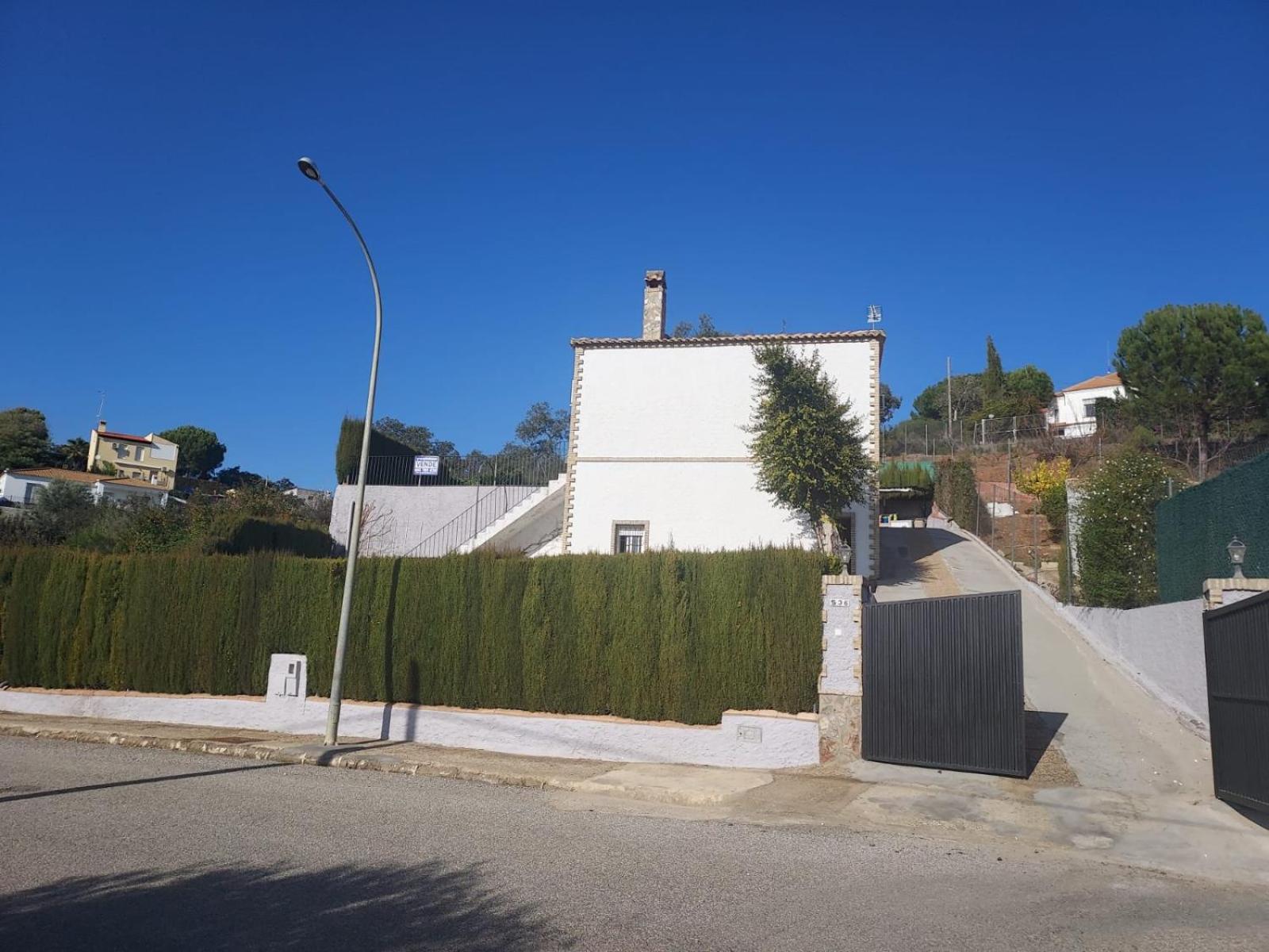 La encina