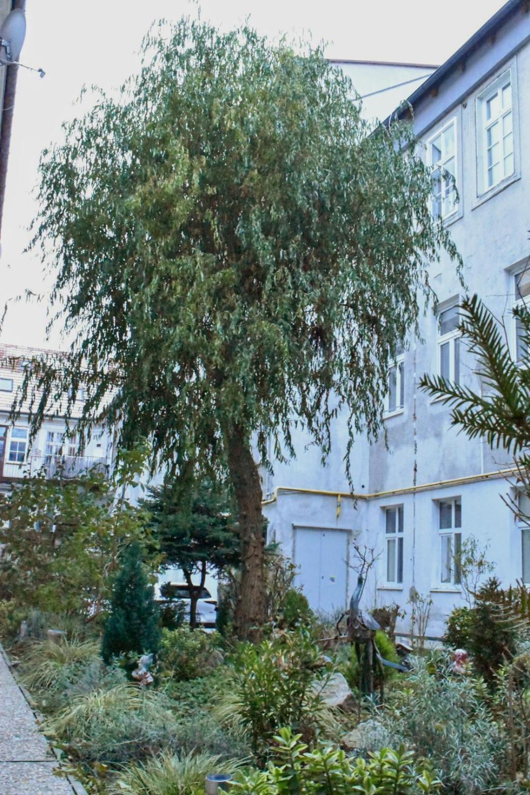 Old town Bratislava 1bdr private parking view 3