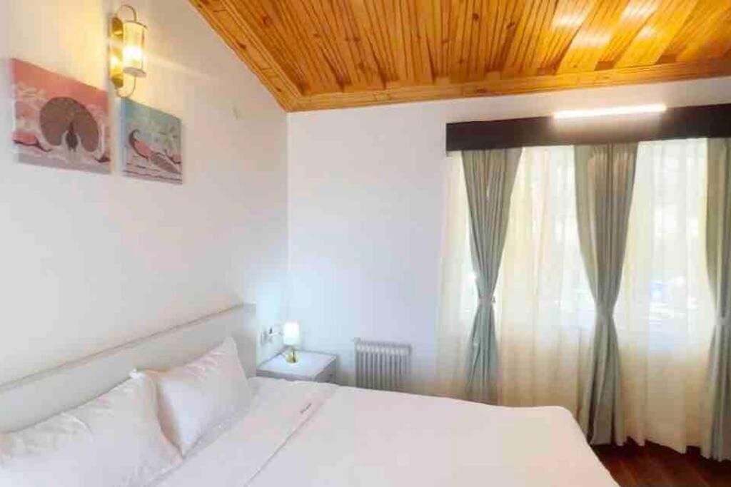 Alpine Peaks 2BHK Swiss-style Cottage B1 view 3