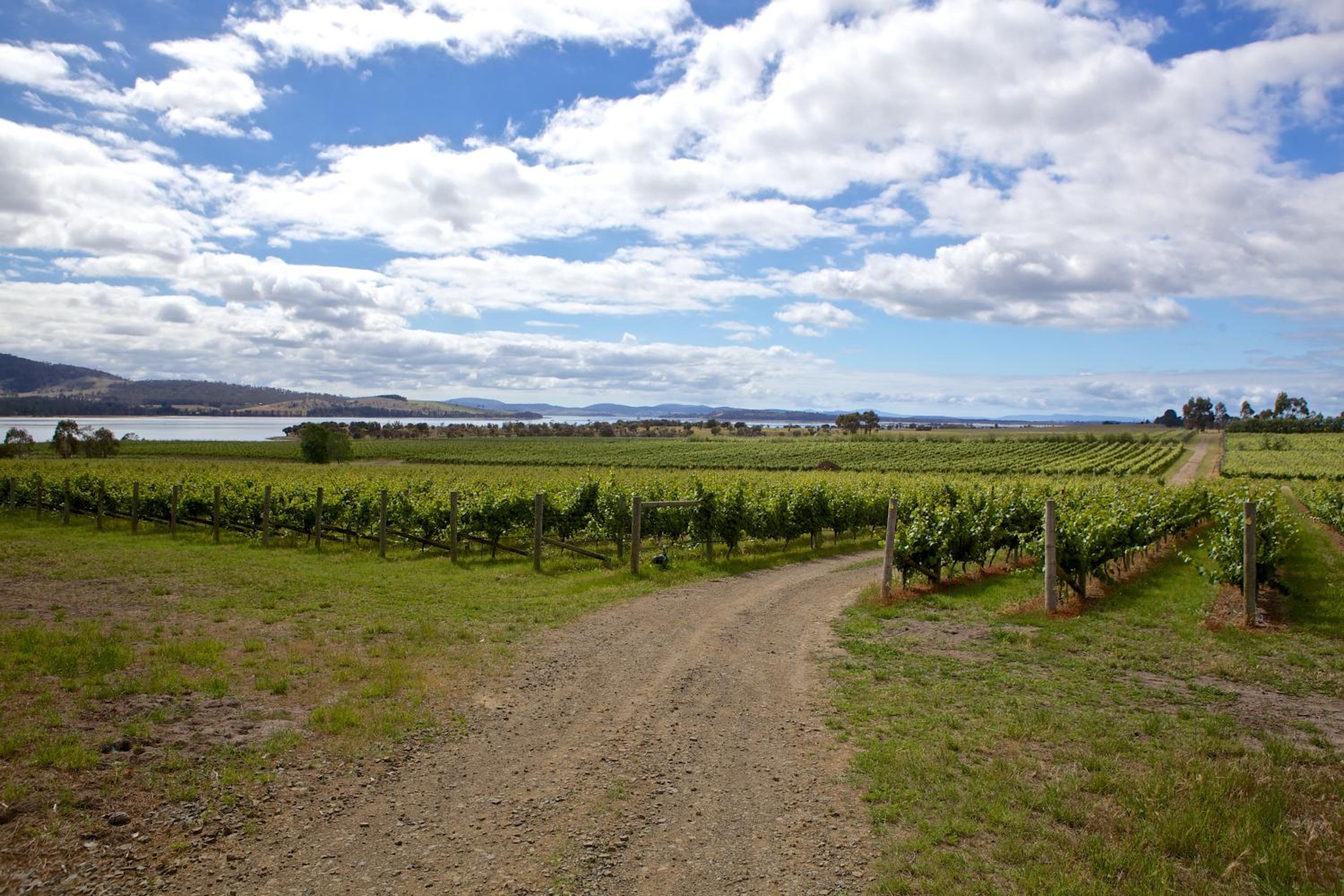 Riversdale Estate Cottages