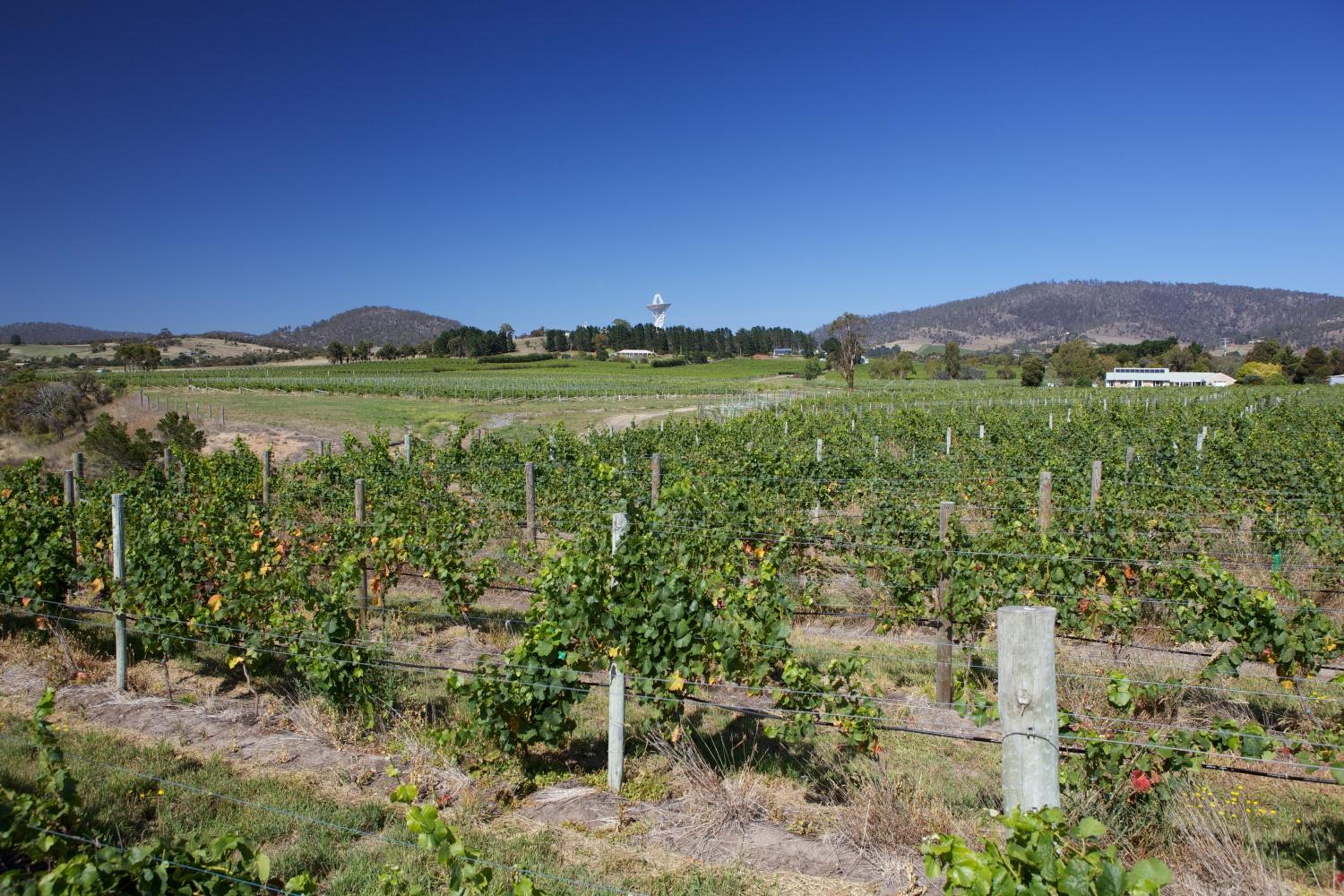 Riversdale Estate Cottages