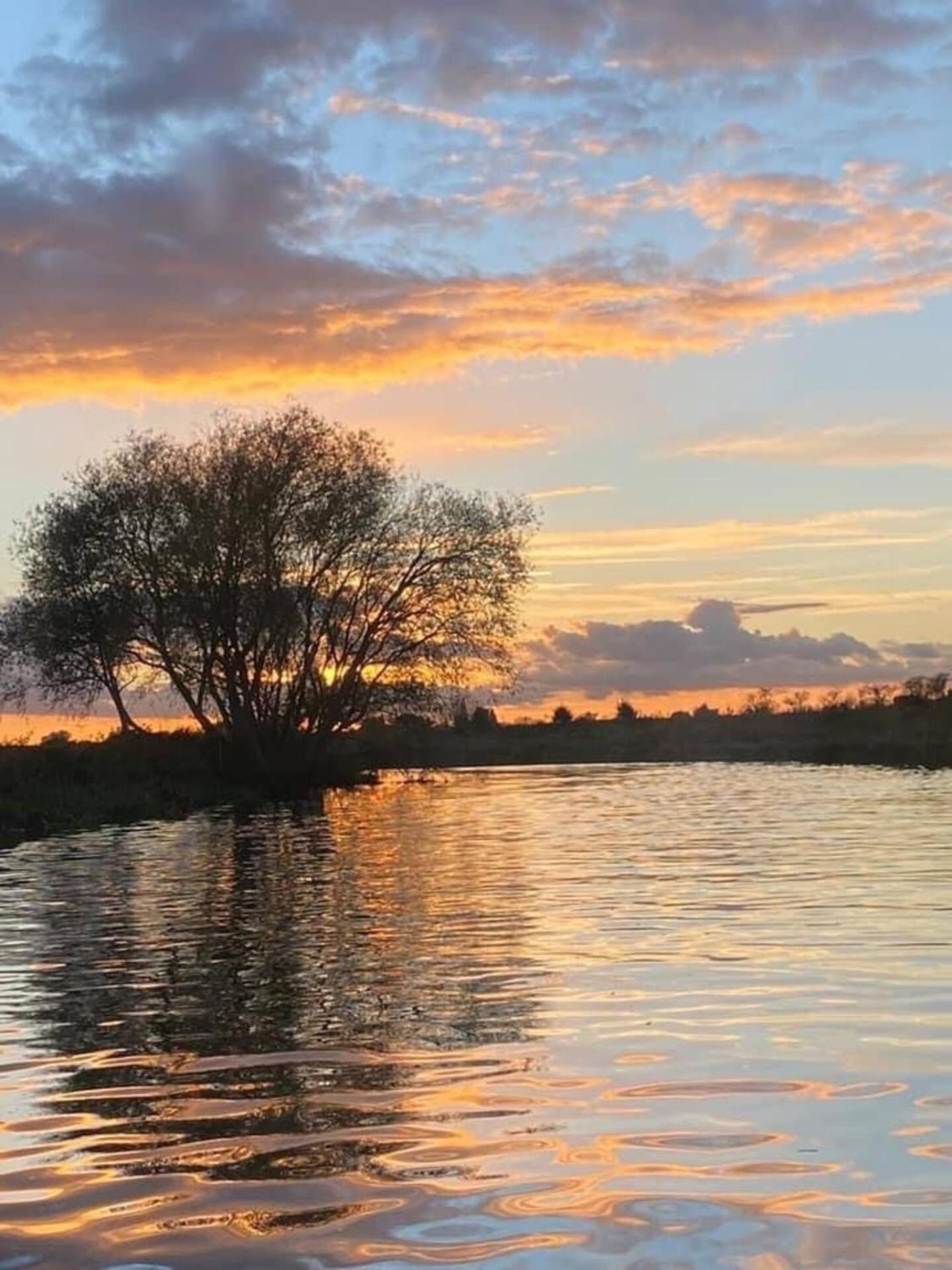 Cambridge Narrowboats - Beautiful Narrowboat Glyndwr