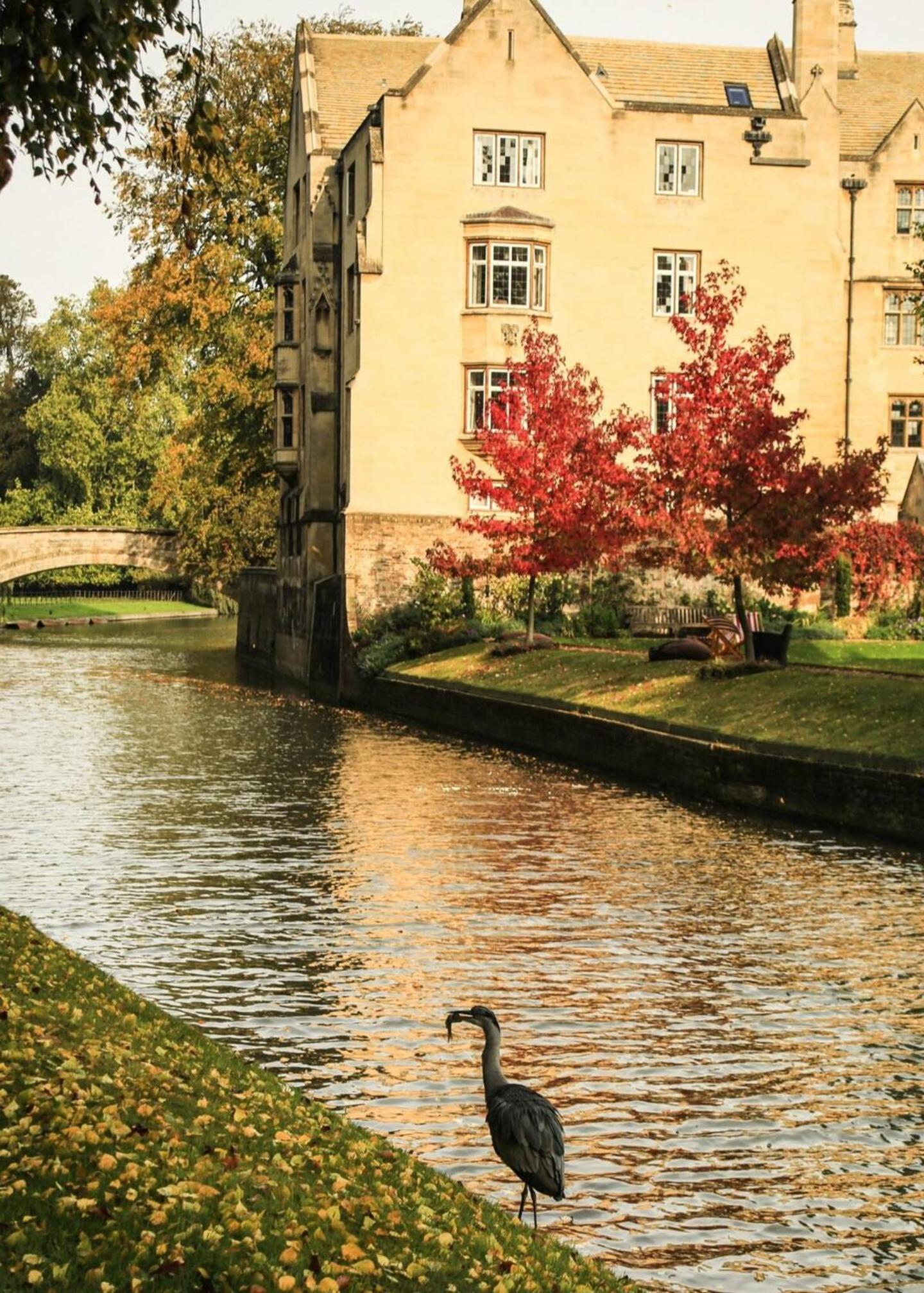 Cambridge Narrowboats - Beautiful Narrowboat Glyndwr
