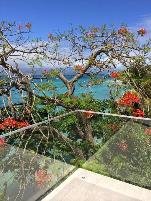 Une Terrasse sur la Mer view 4
