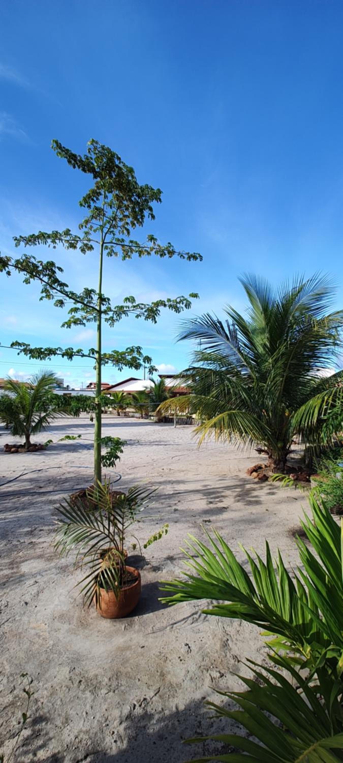 Pousada São Miguel Arcanjo