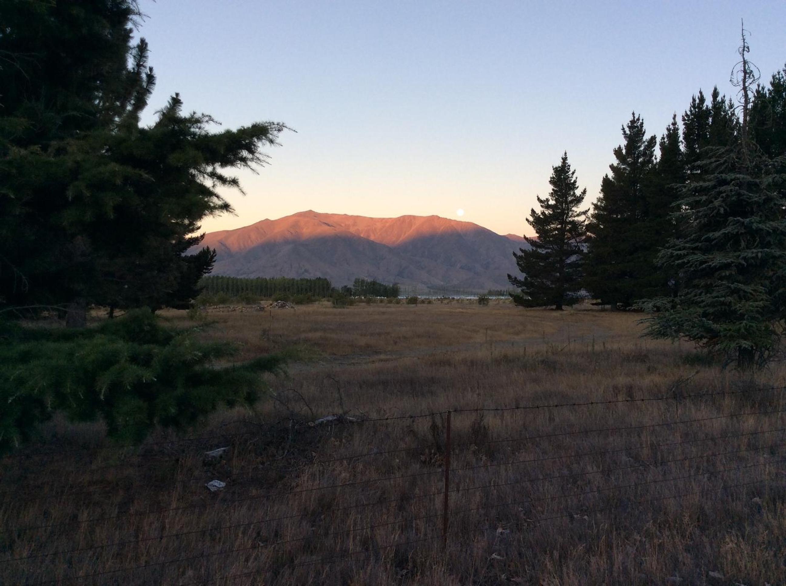 Photo 47