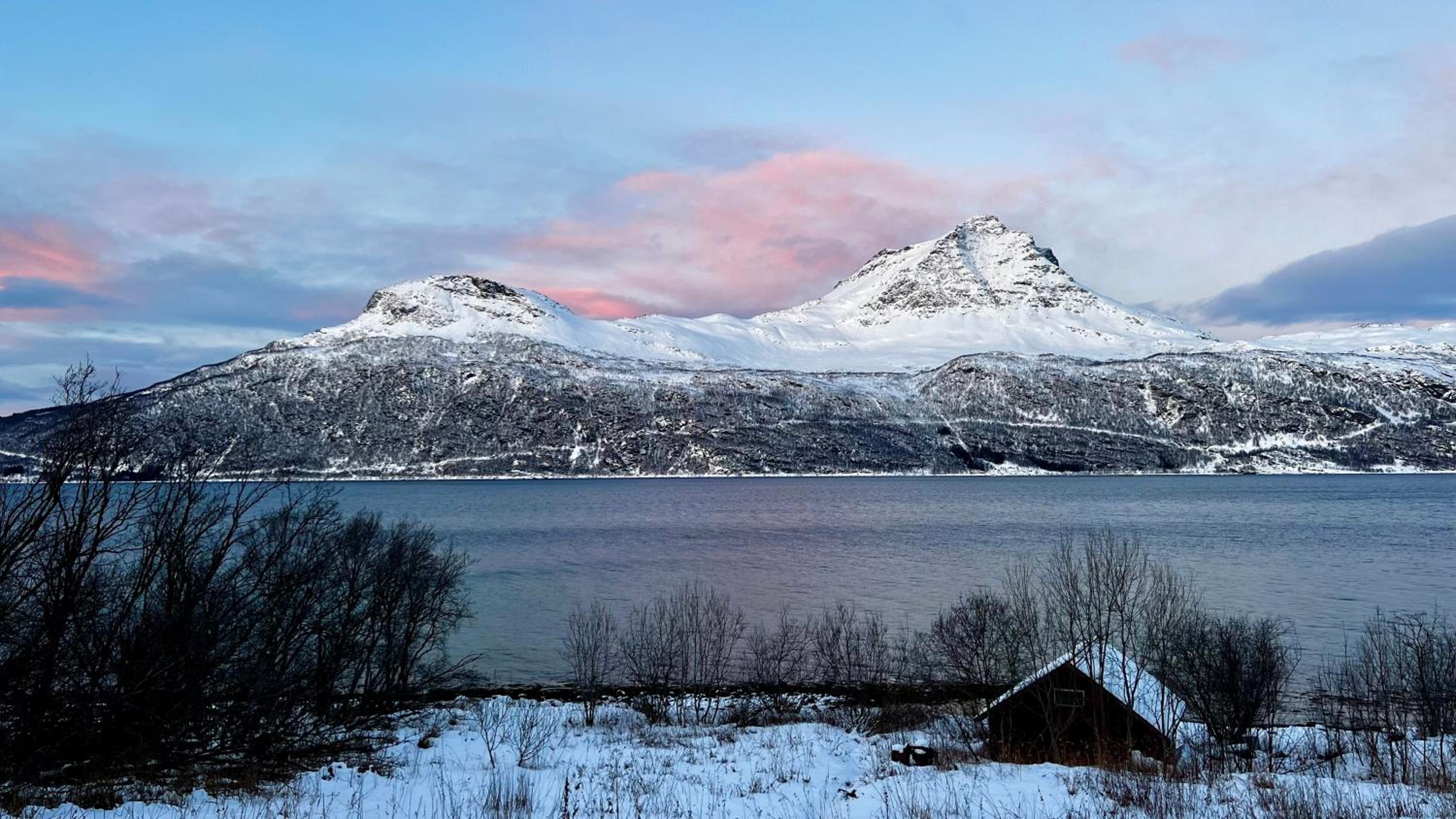 Face Of North
