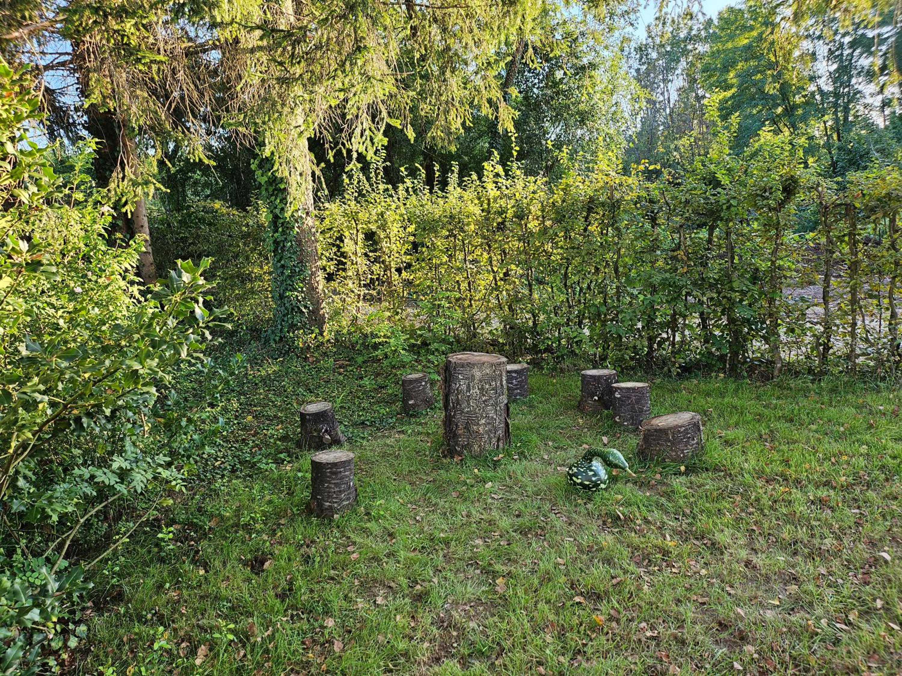 Photo 27