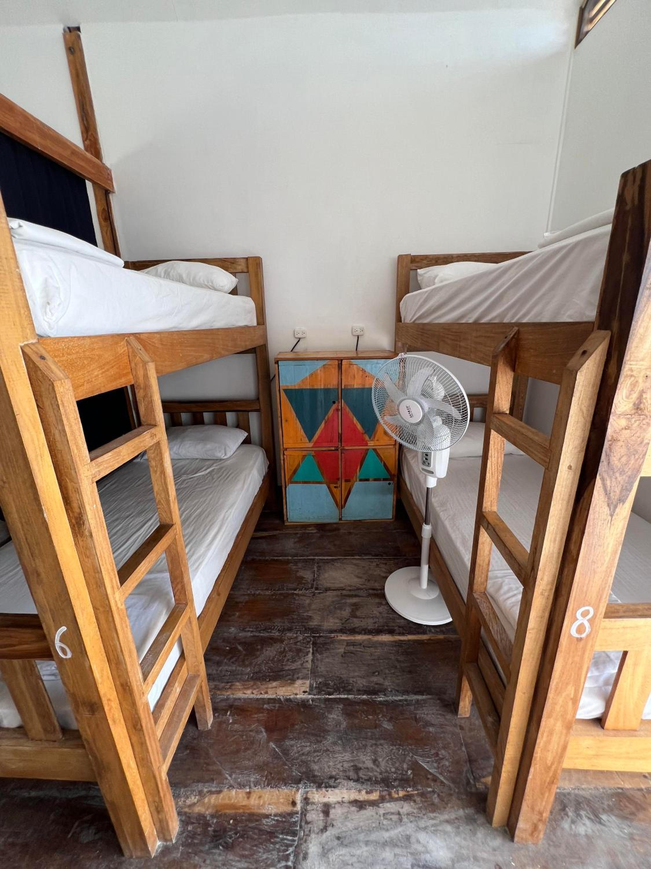 Photo 19