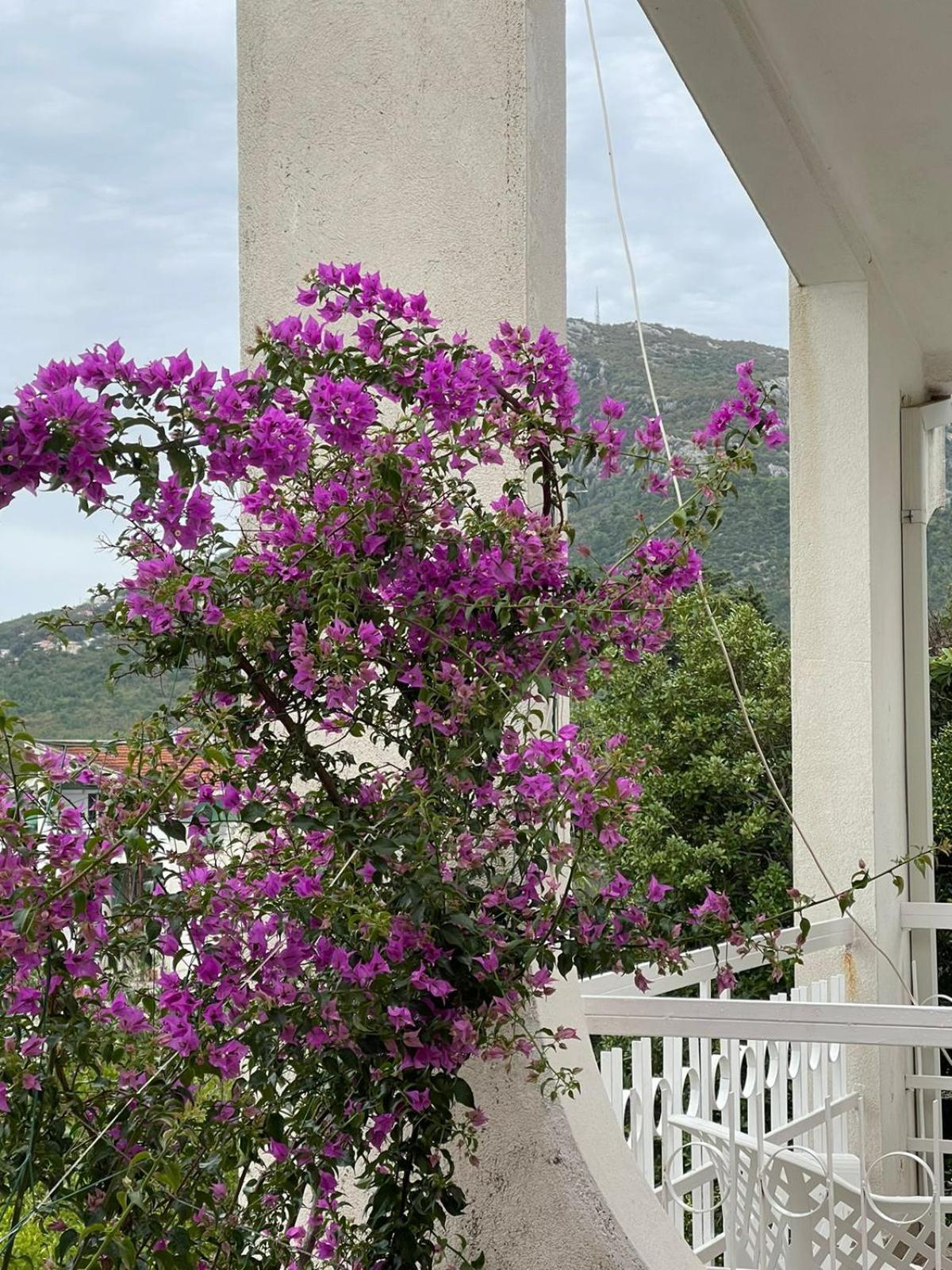 Villa Vita