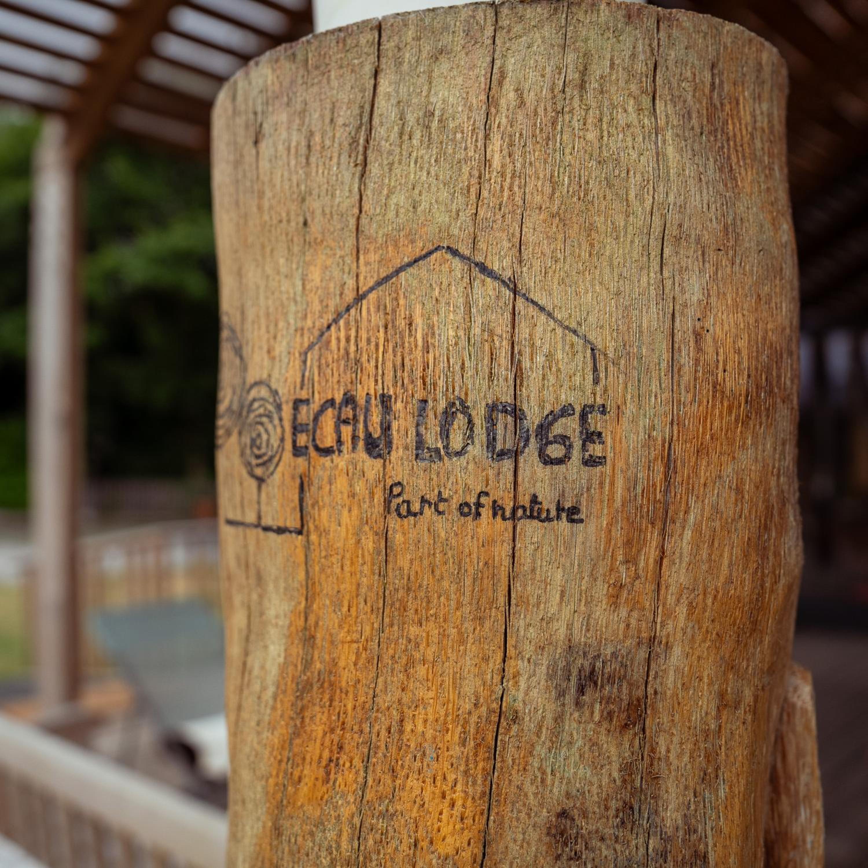 Ecau Lodge - Privatisation du domaine (max 44 personnes)