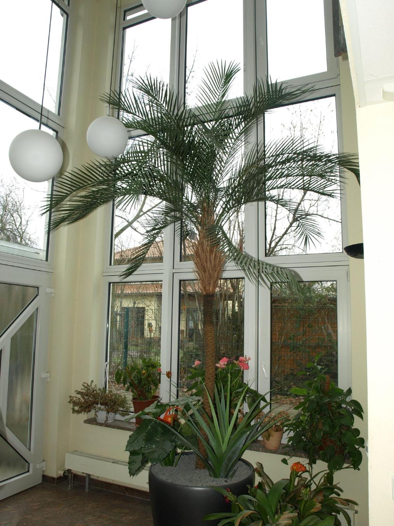 Ferienwohnung Mengelberg