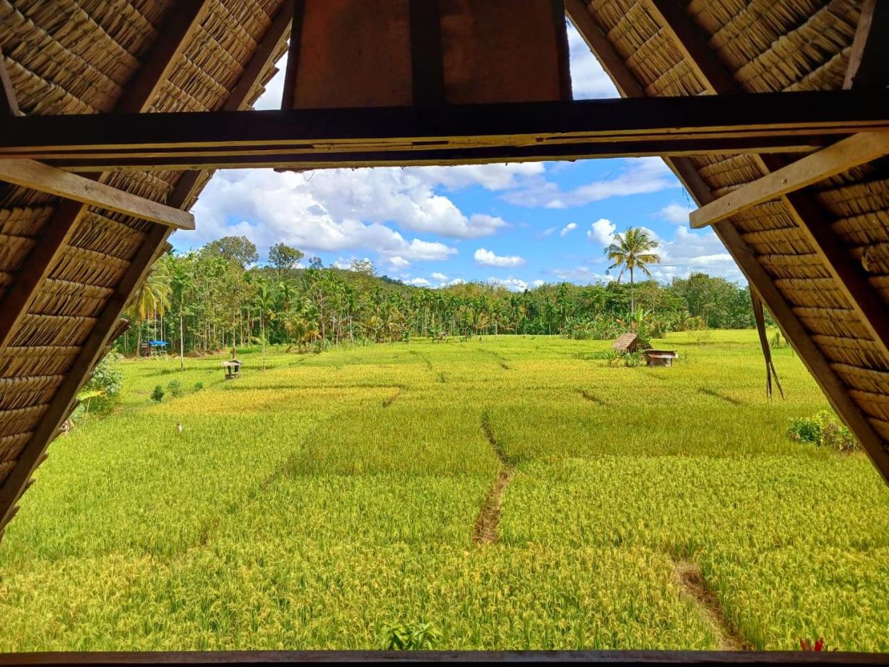 Tropical Jungle lodge & Jungle trekking
