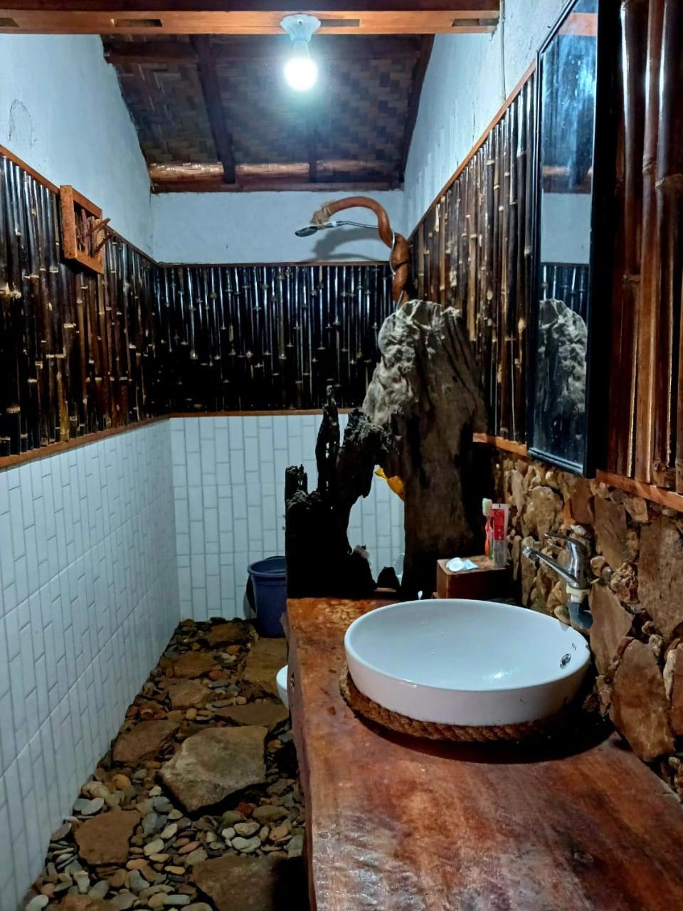 Tropical Jungle lodge & Jungle trekking