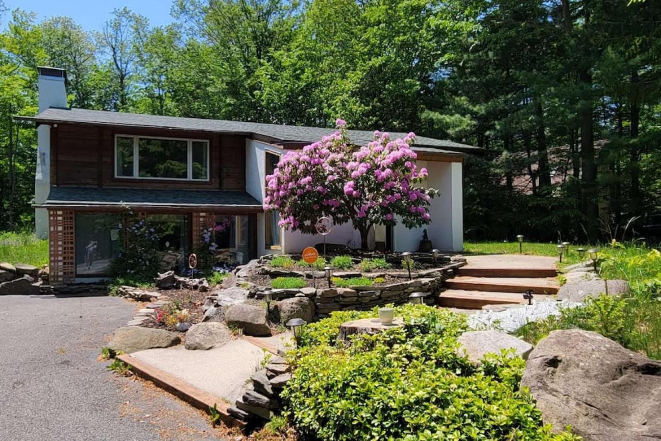 Comfy Log Cabin Family & Pet Kind by State & Waterparks! view 3