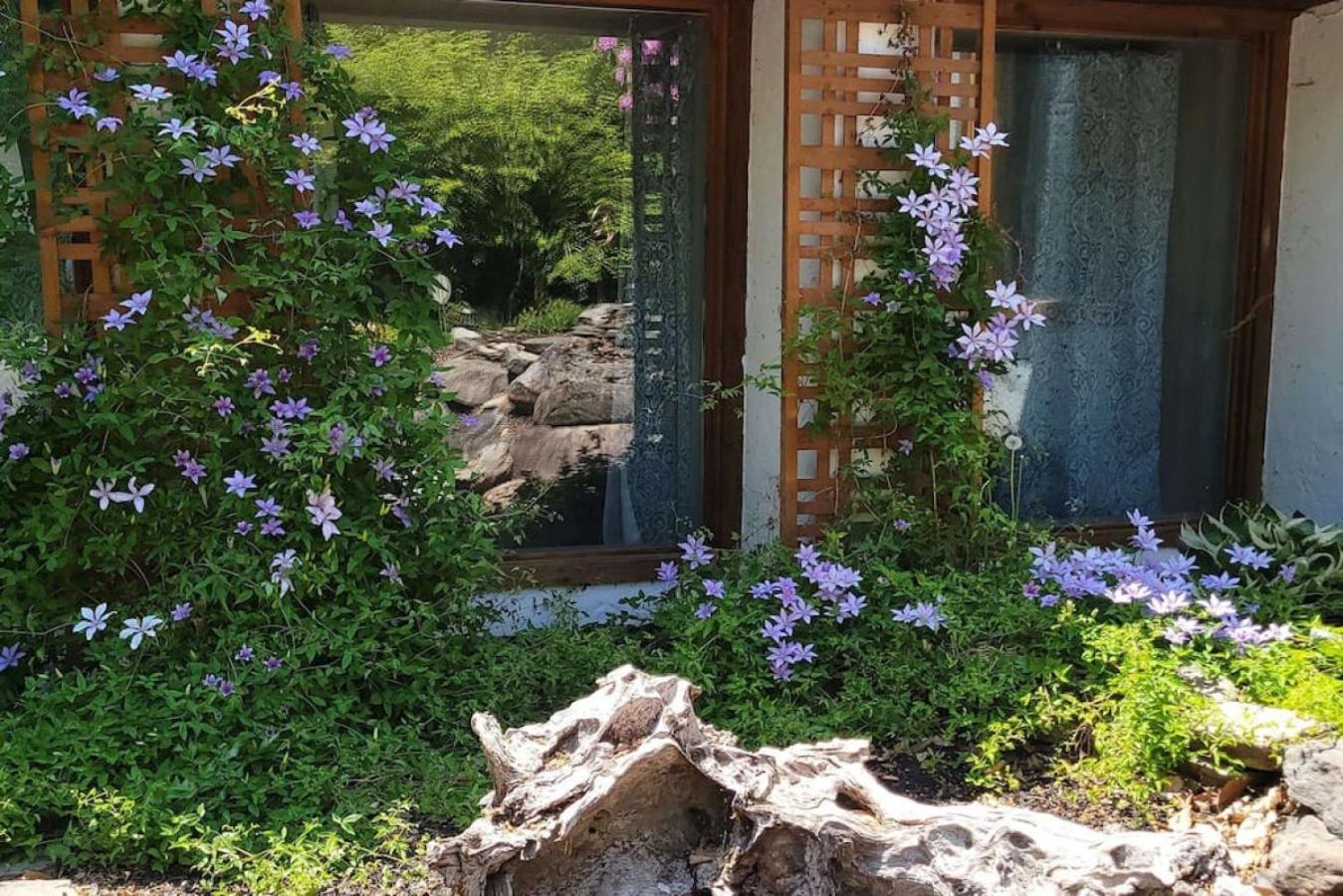 Comfy Log Cabin Family & Pet Kind by State & Waterparks! view 5