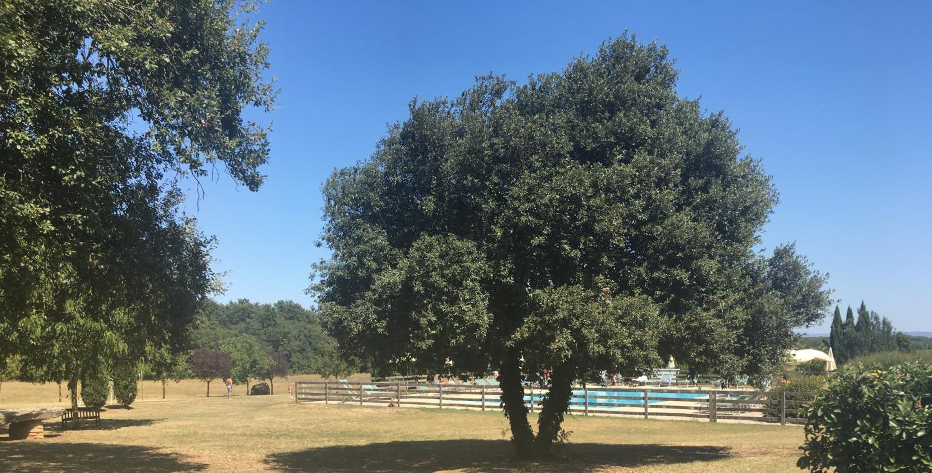 Fattoria Agriturismo Nerbona
