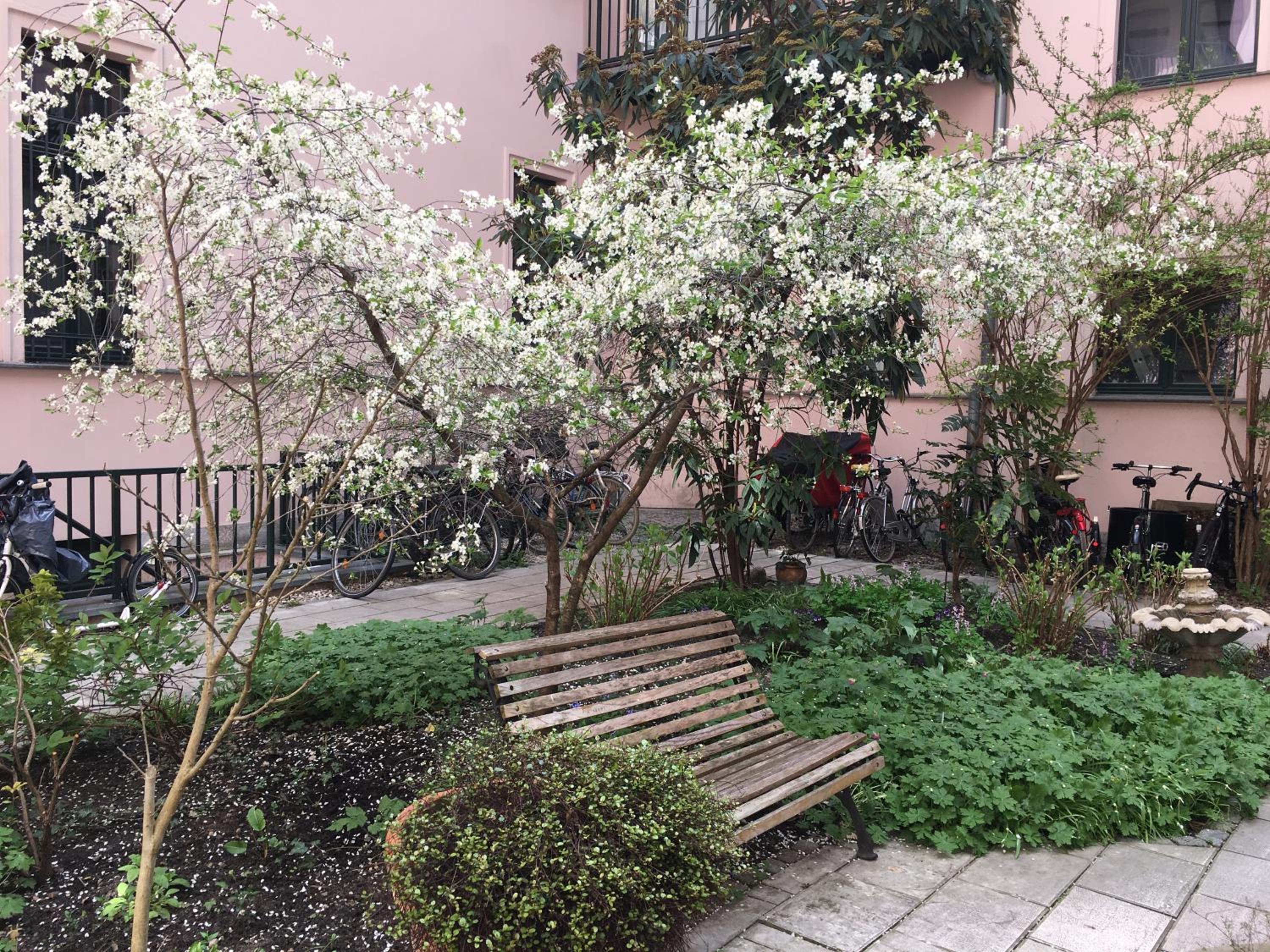2-Zimmer-Apartment 