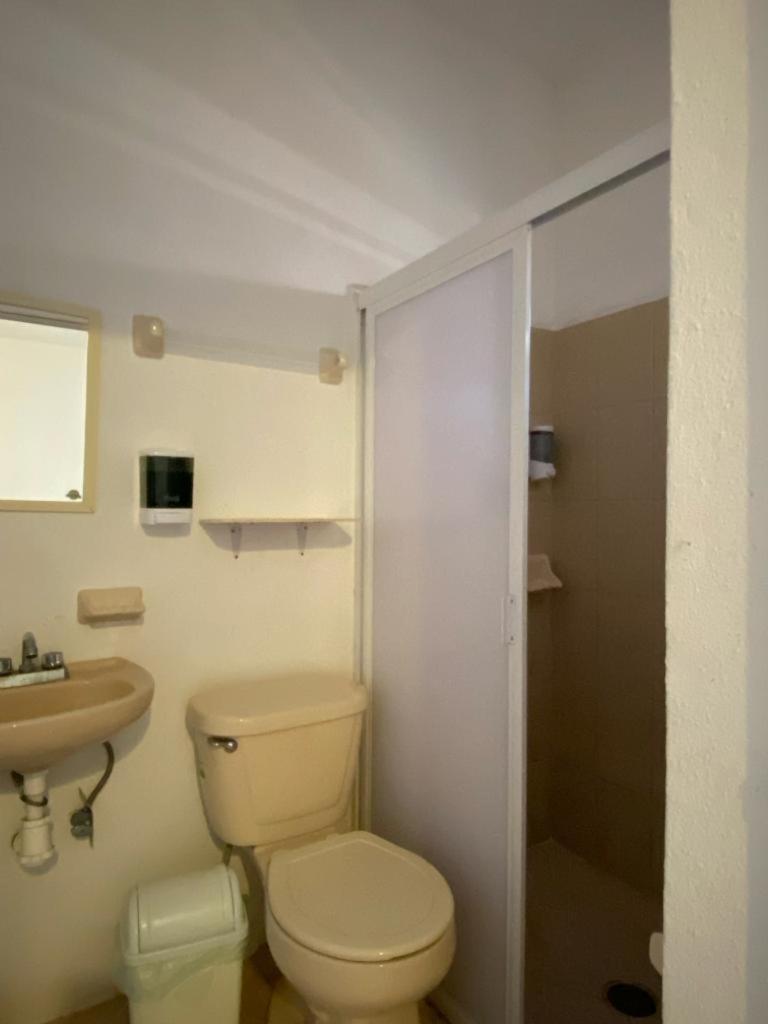 Photo 20