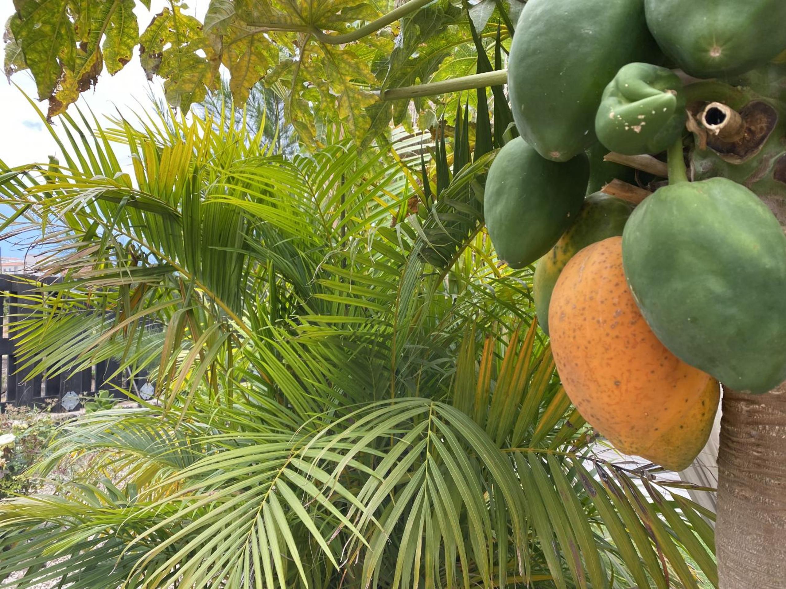 Hotel Privado Serendipia Natural Club Exclusive by Deihu Experiences
