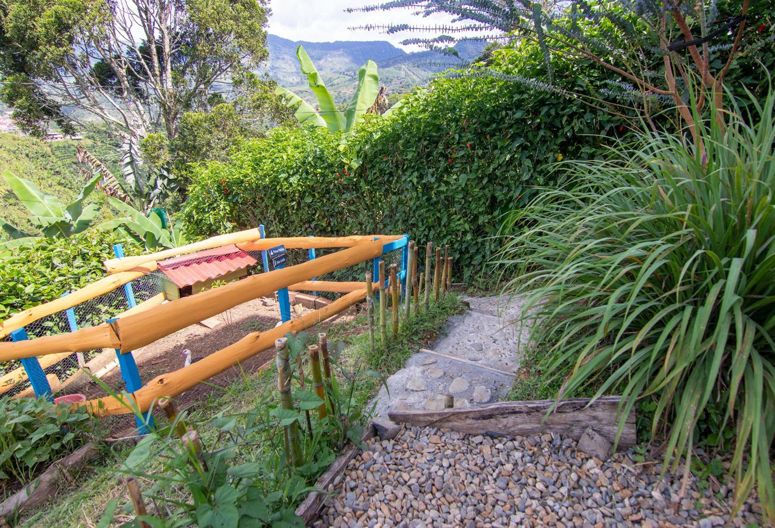 Casa Viva Alojamiento Rural