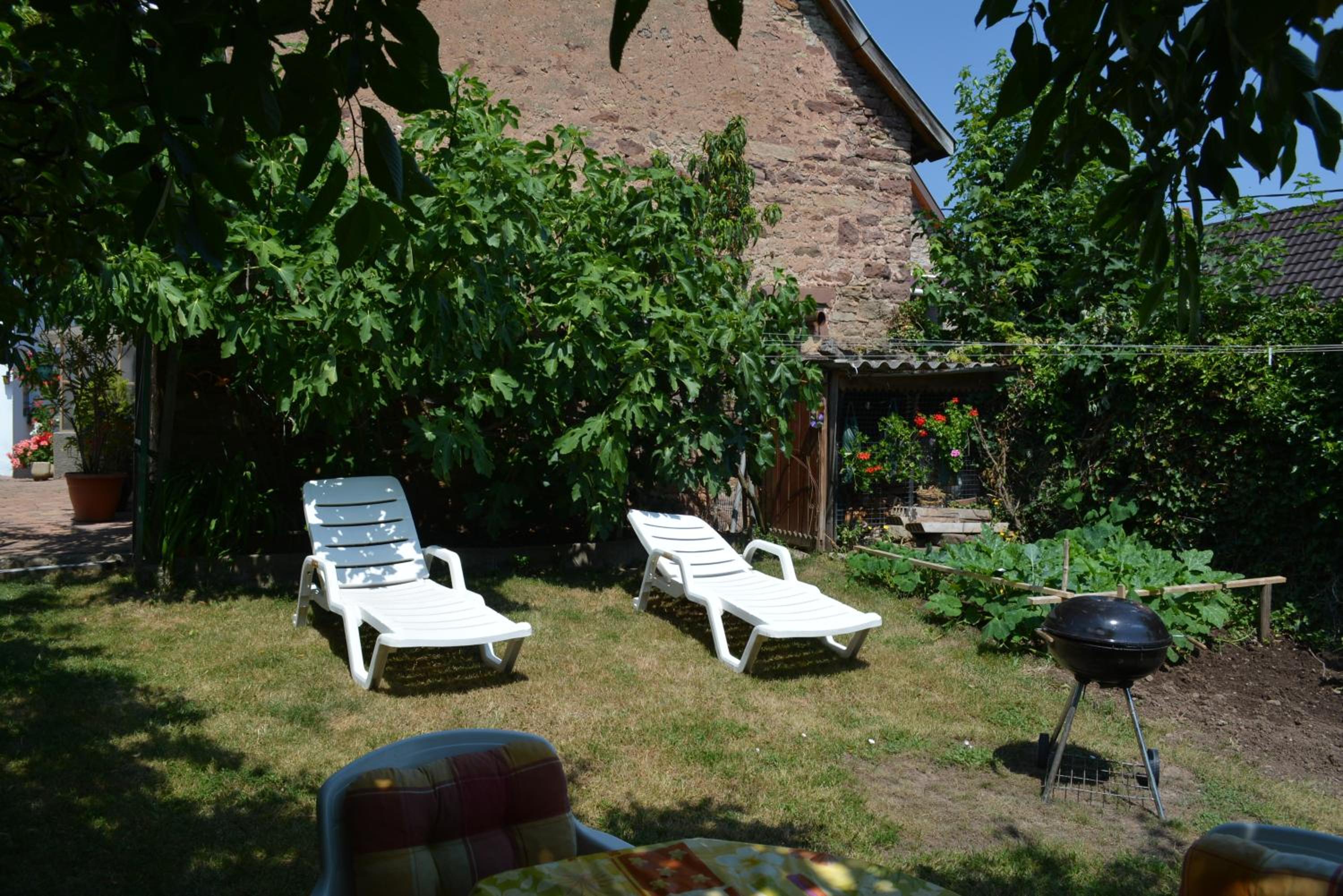 Photo 33