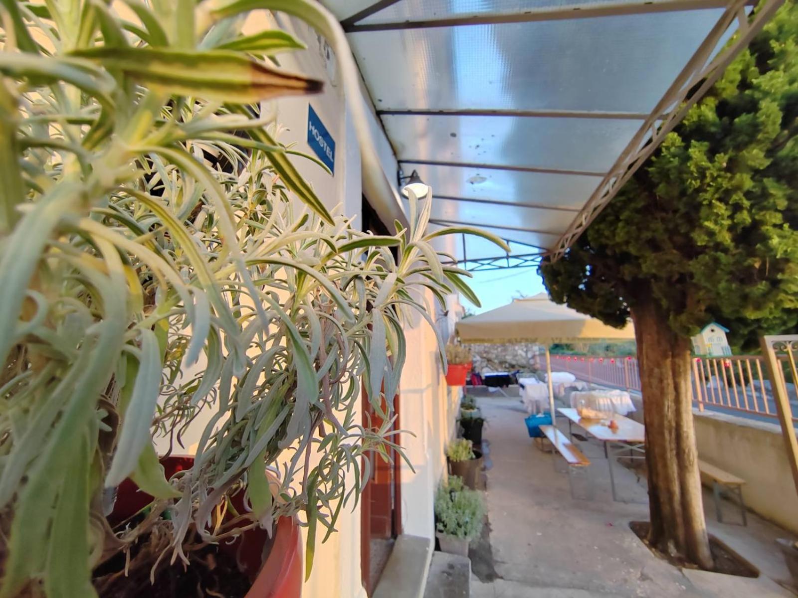 Photo 45