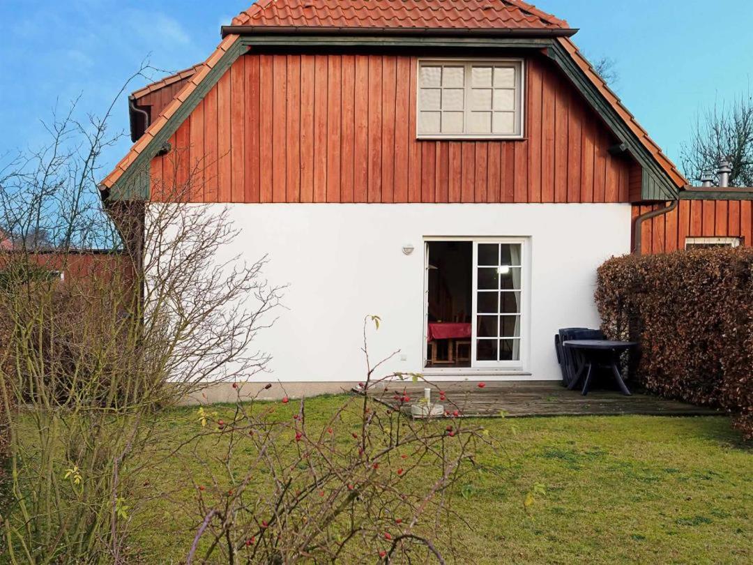 DHH 9 Strandkorb view 5
