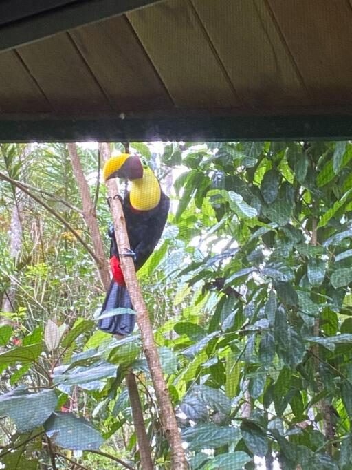 Casita Colibri–Mile to the Beach–Cable&Fiber Wifi!