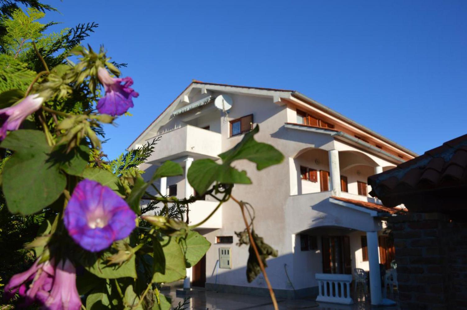 Apartments Aurelia