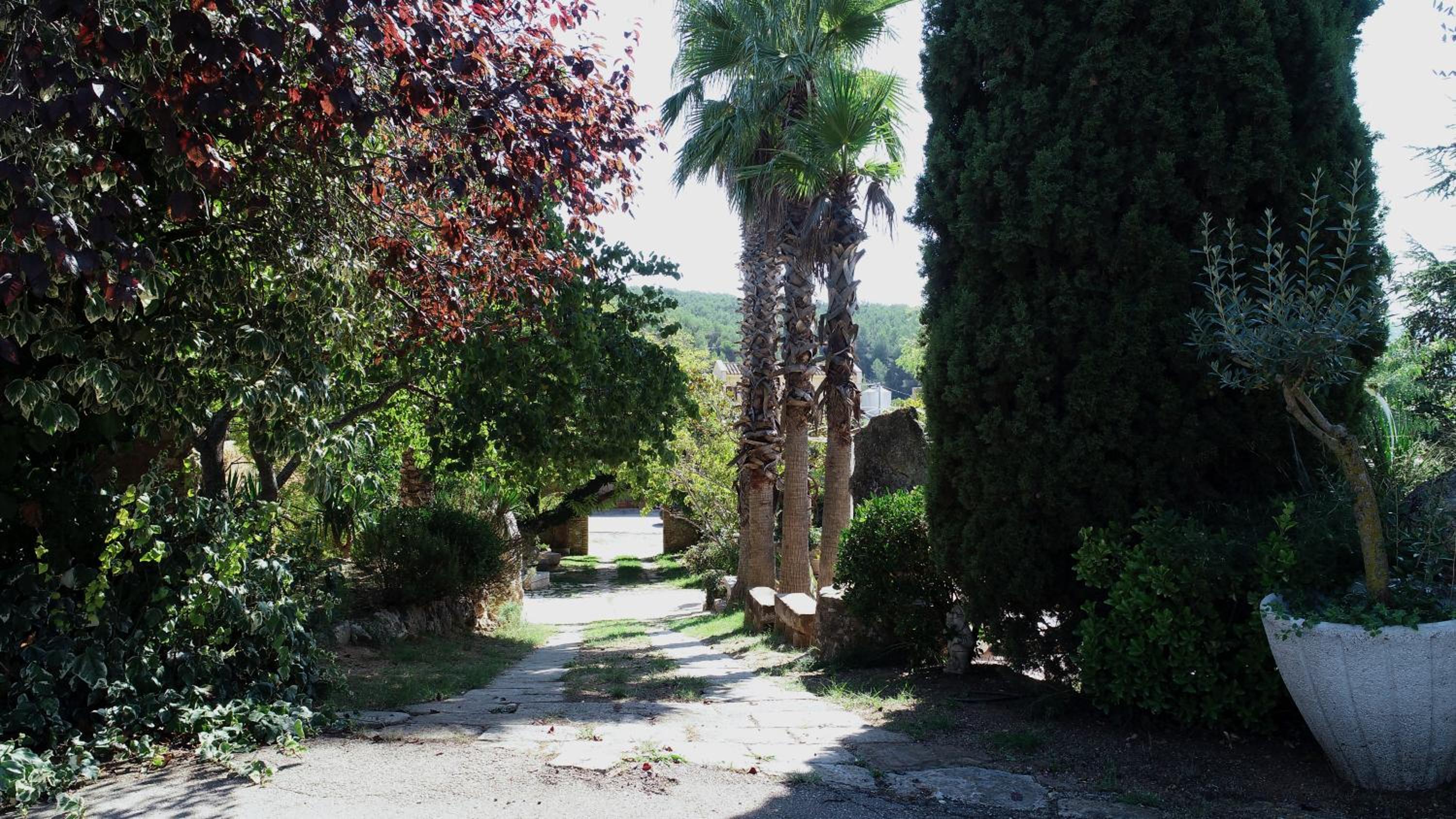 Photo 8