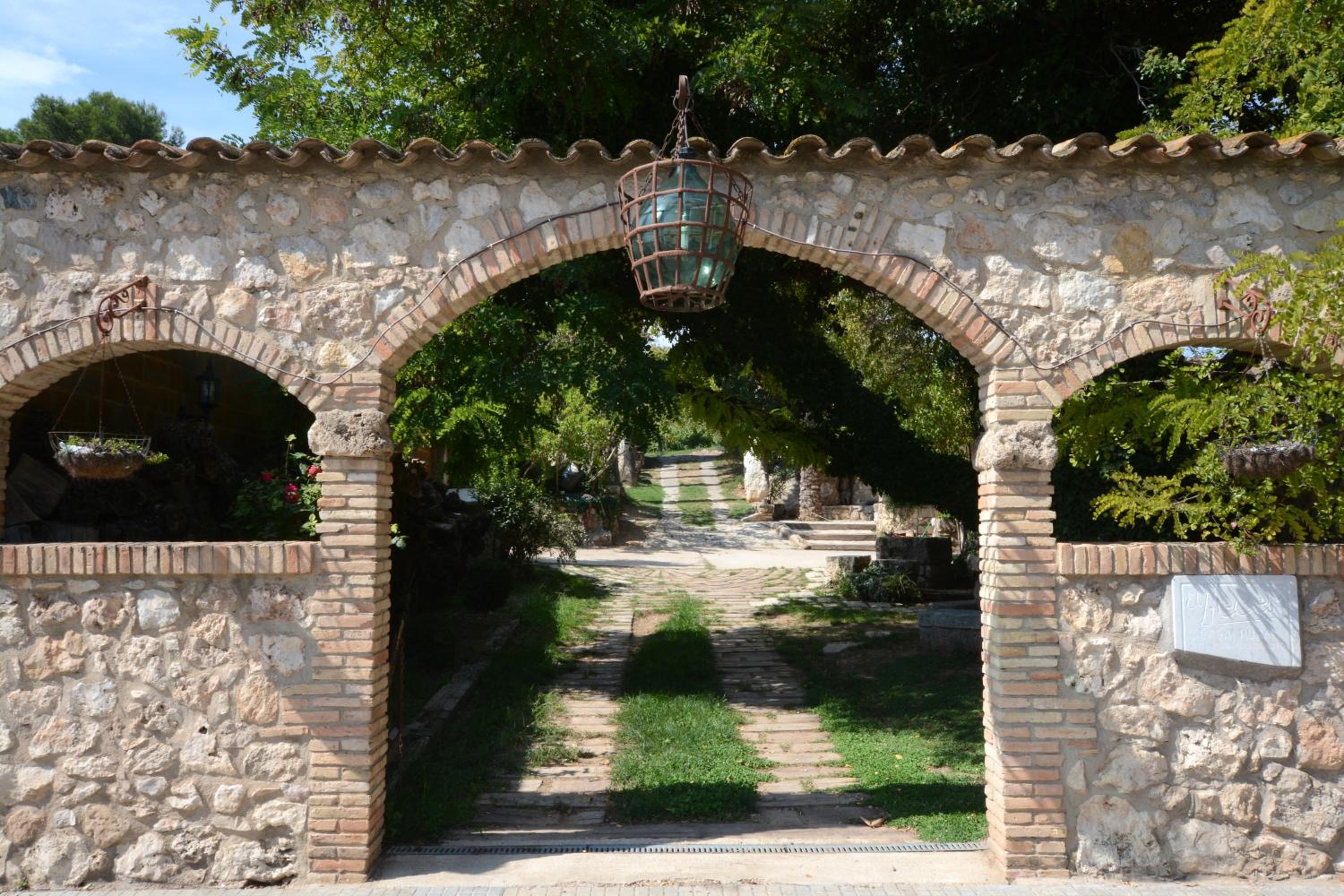 Photo 10