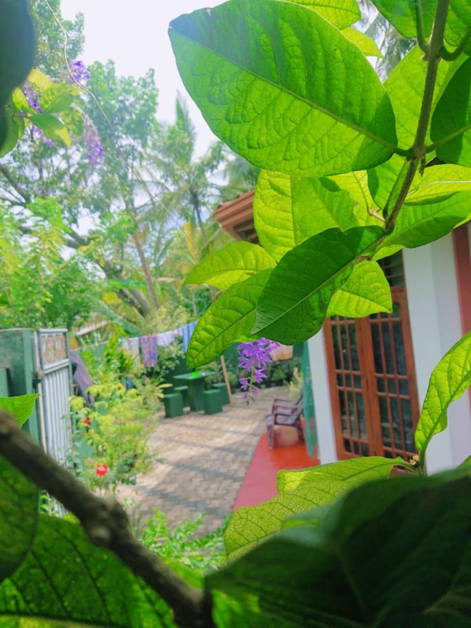 Photo 24