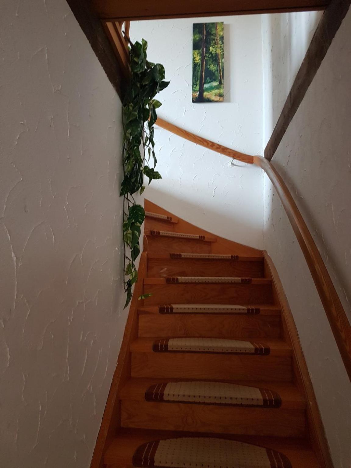 Ferienhaus Lichtblick am Teich