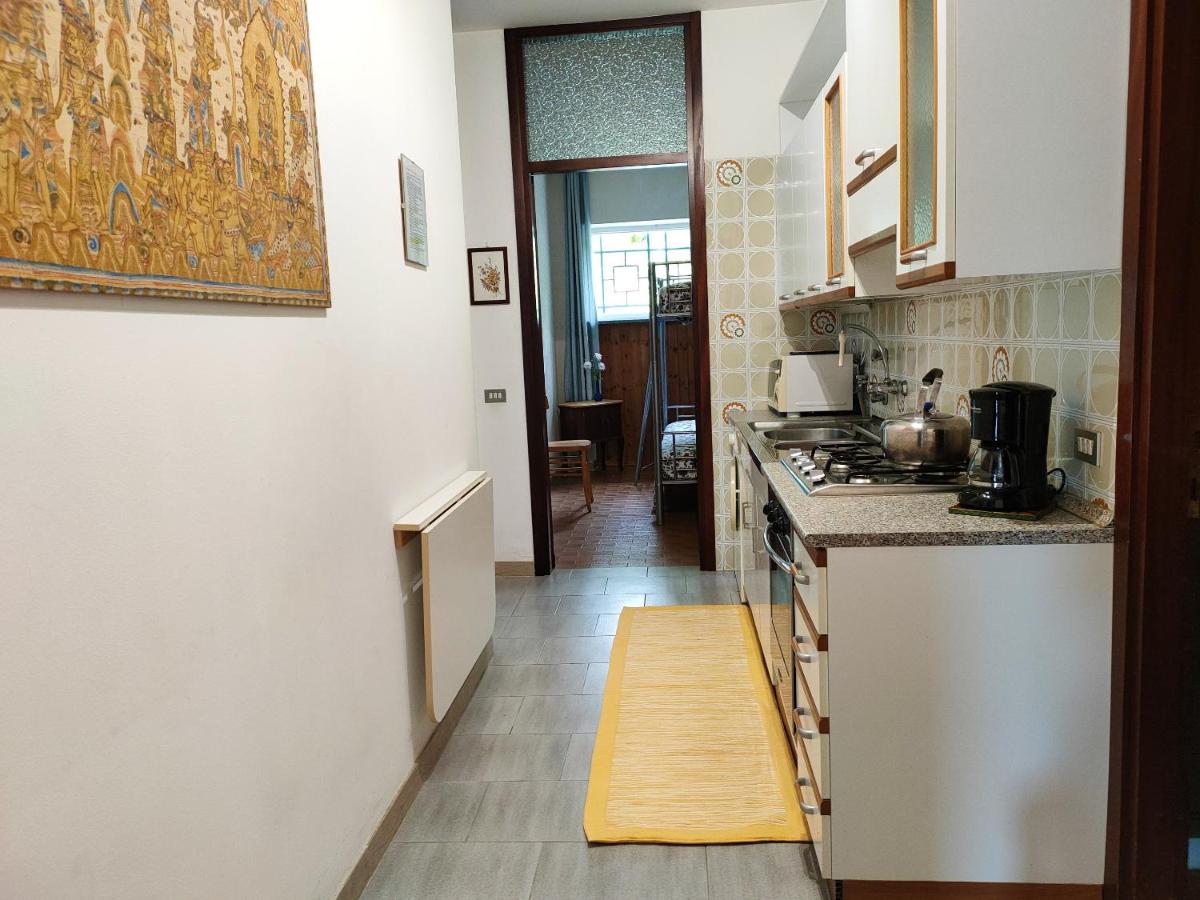 2 bedrooms appartement with enclosed garden and wifi at Arona 3 km away from the beach