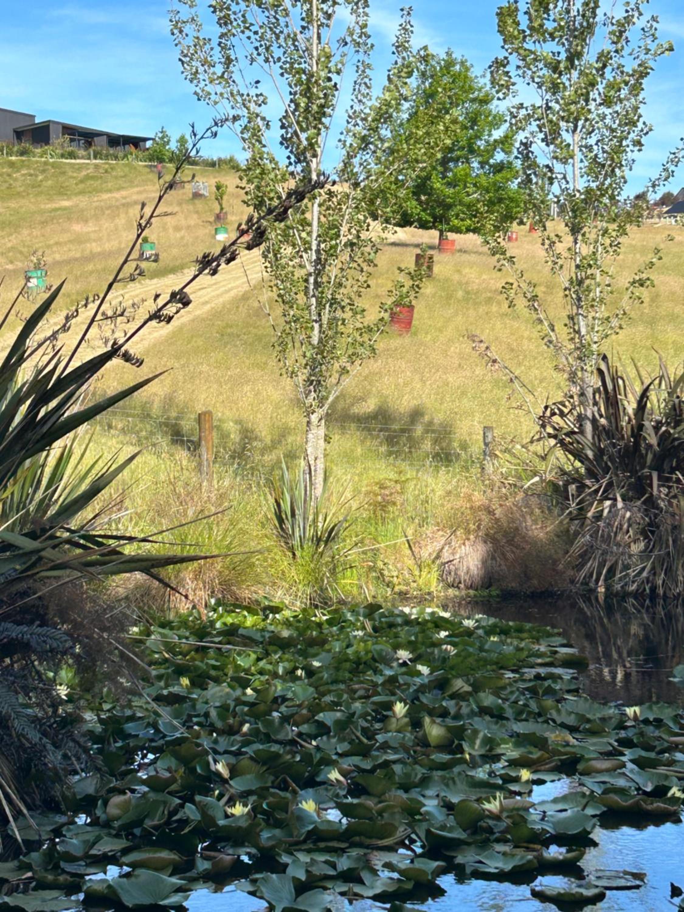 Harakeke Boutique Accommodation