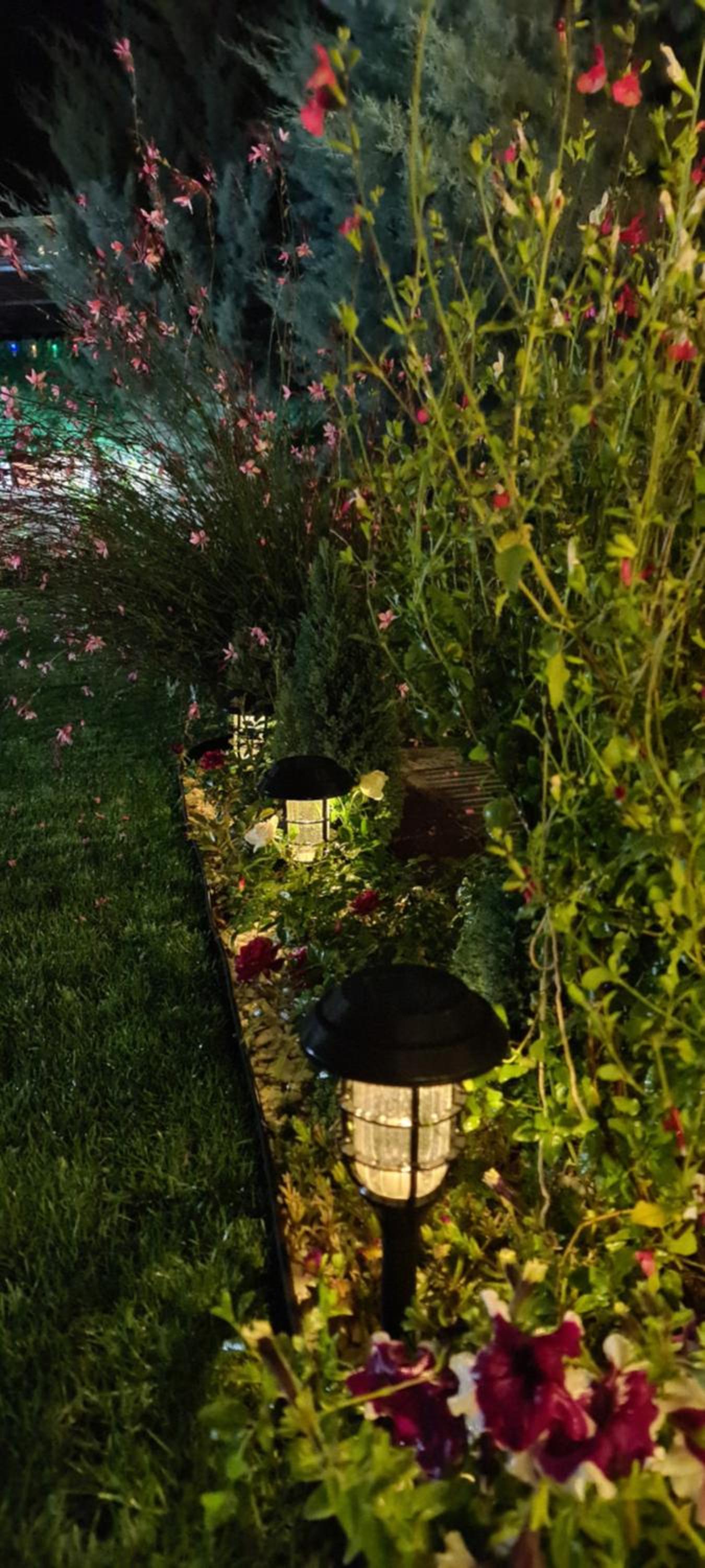 Ebruli Cennet Bahçesi